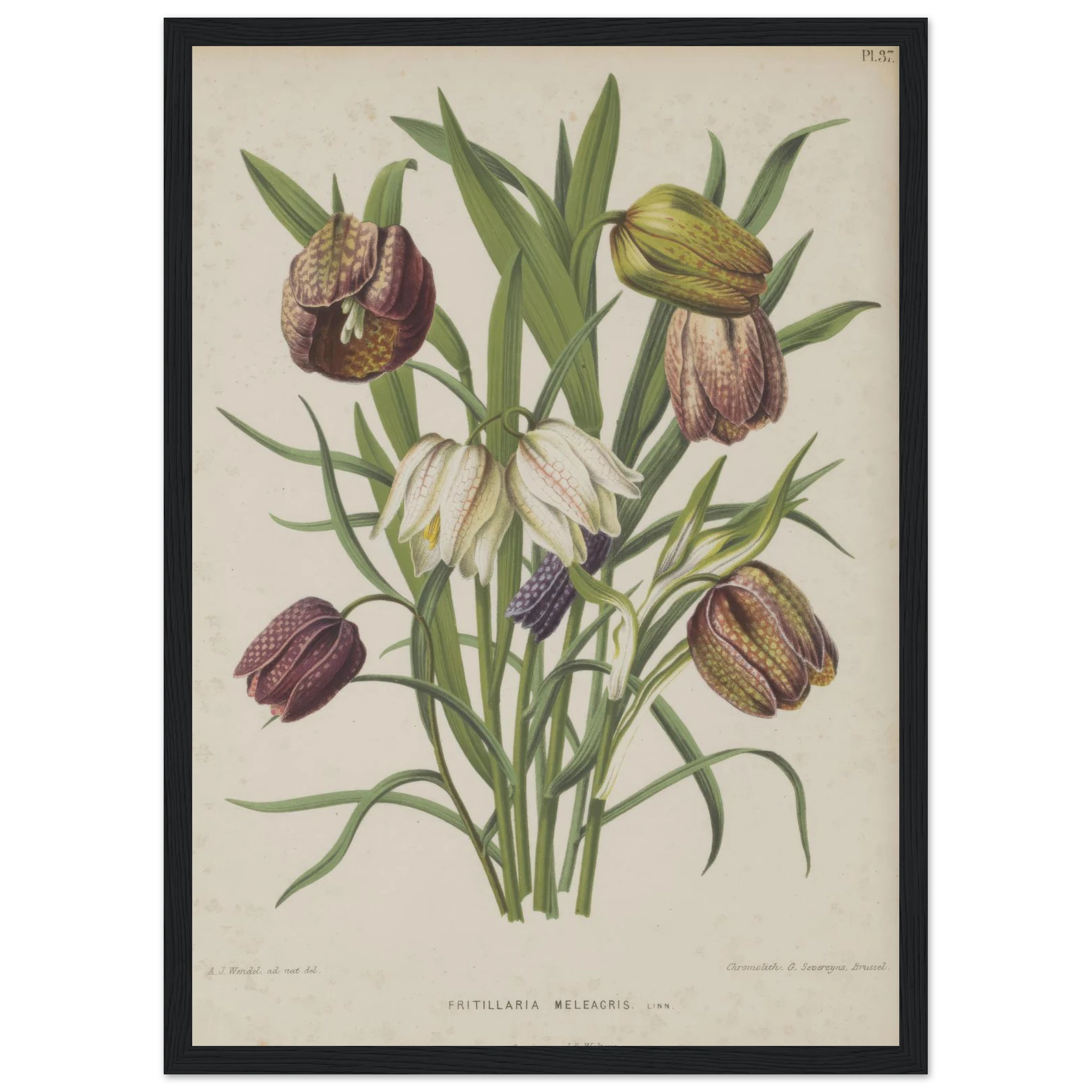 471c78e5-51f6-4794-b315-68e63d2419ce