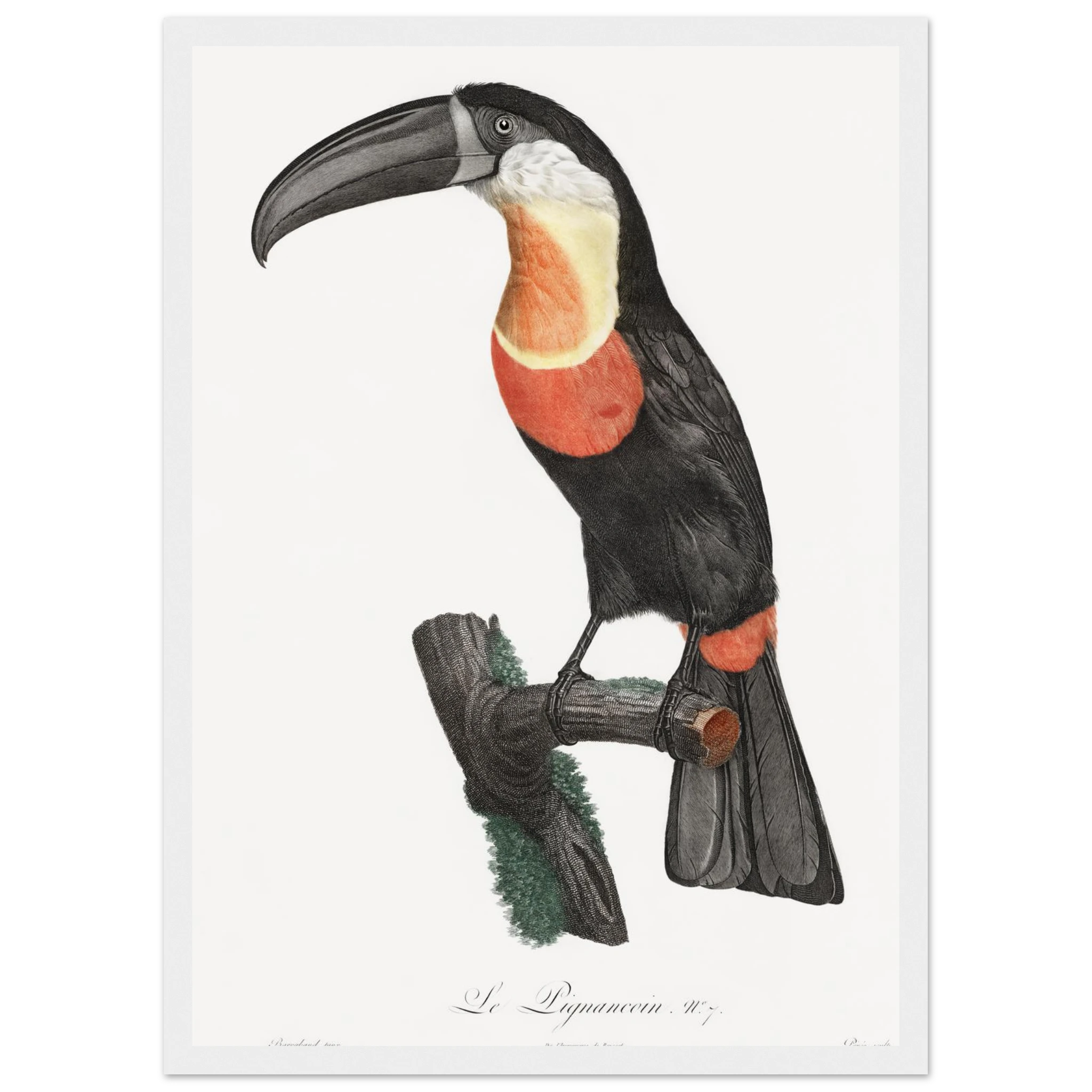 47204c73-7da2-4191-ba2a-a63ea3a90675