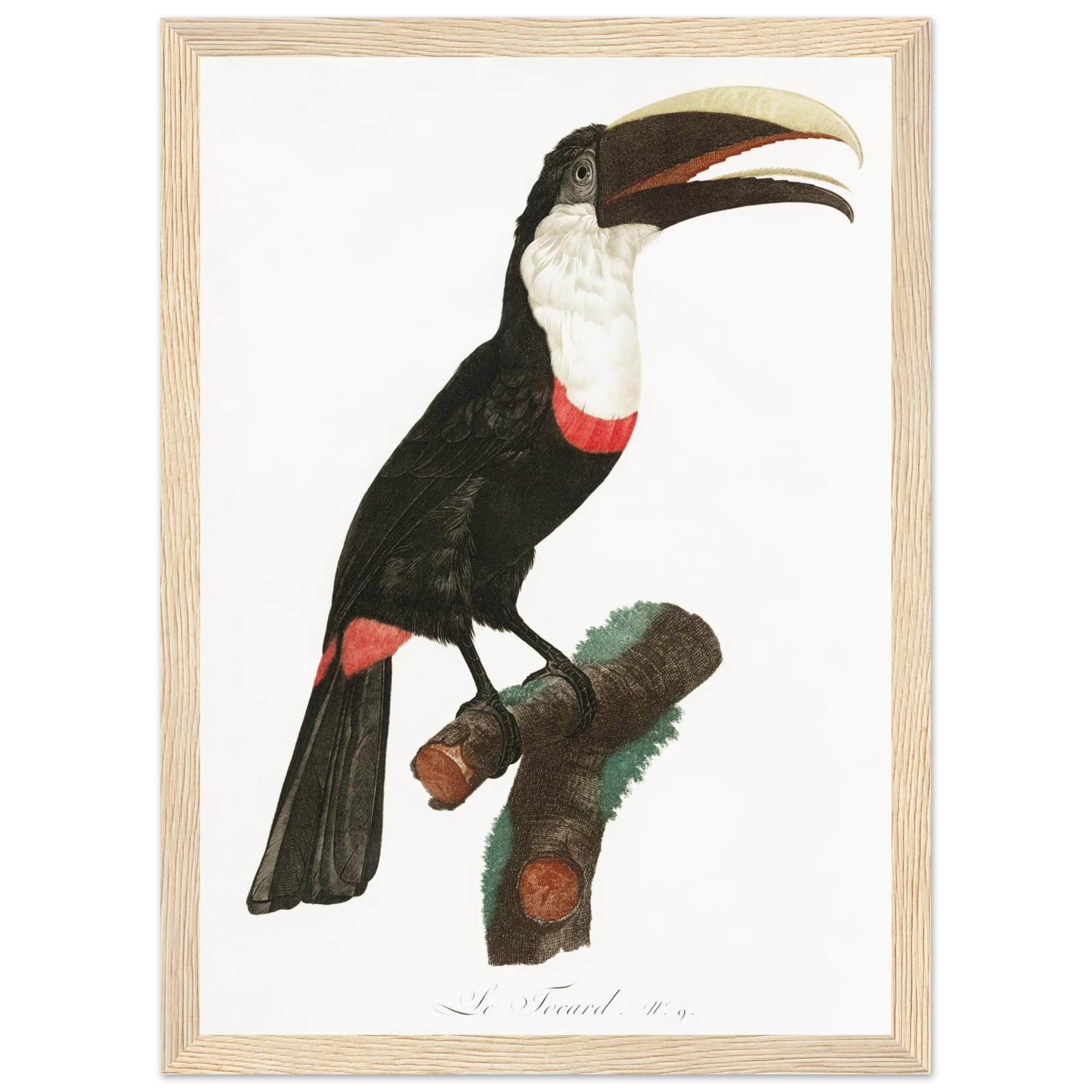 475bcc08-04d7-47e4-a419-0337797c2de1