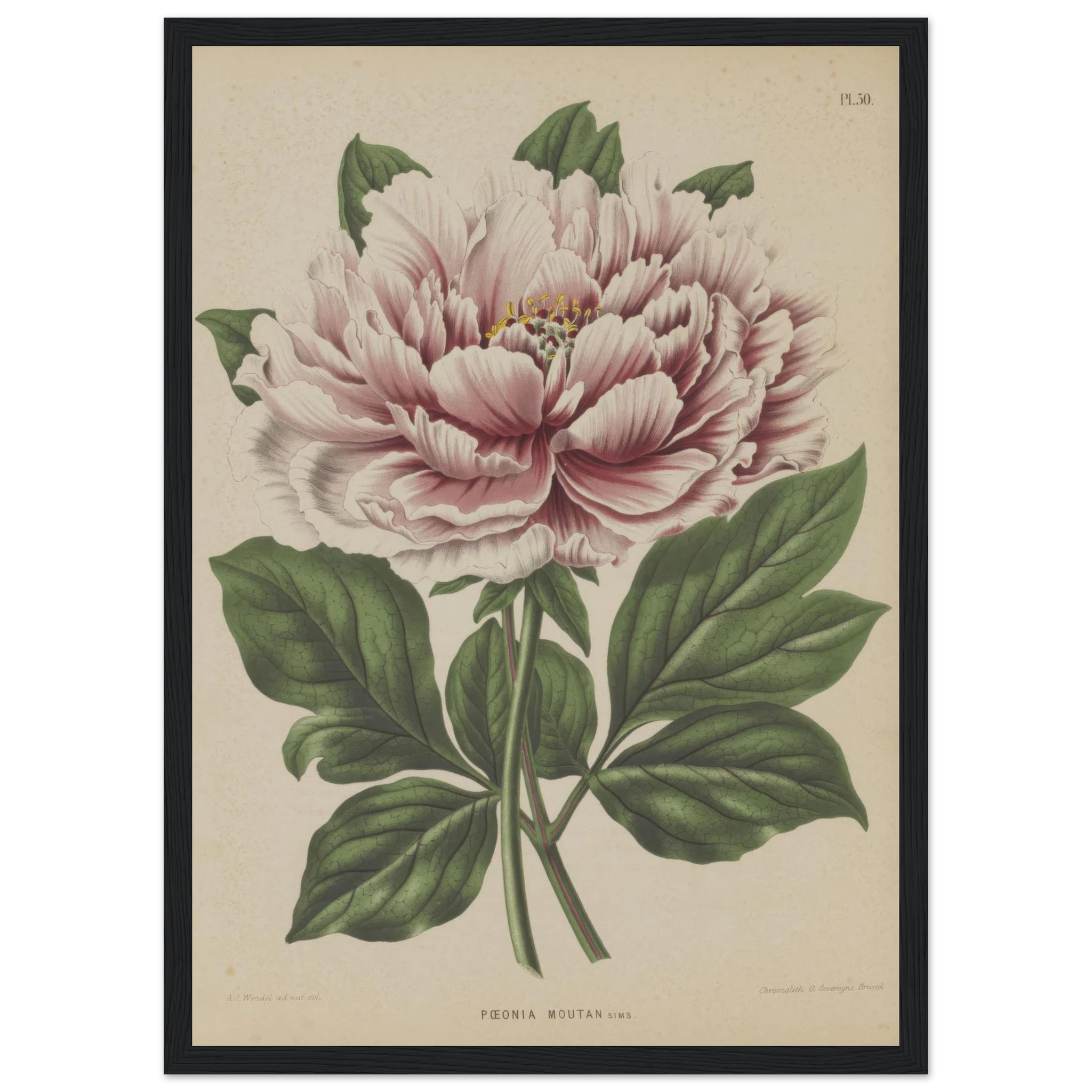 47945a14-dde6-4471-83d2-b2bd6df8b1d0