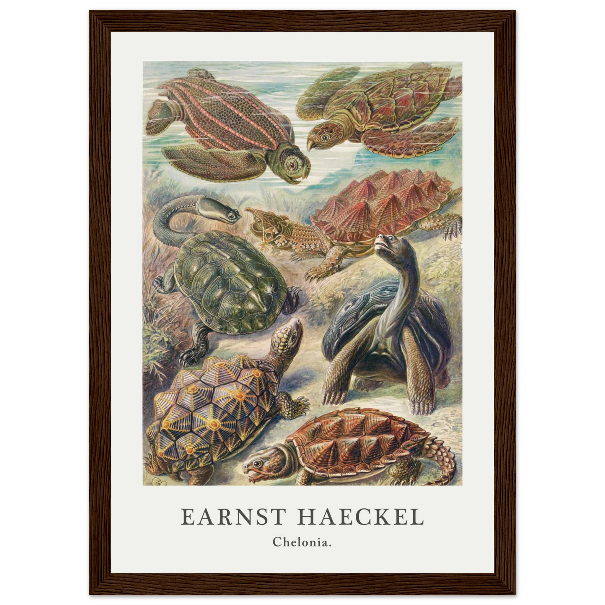 479b7956-b276-46da-928a-8e3e097145ba