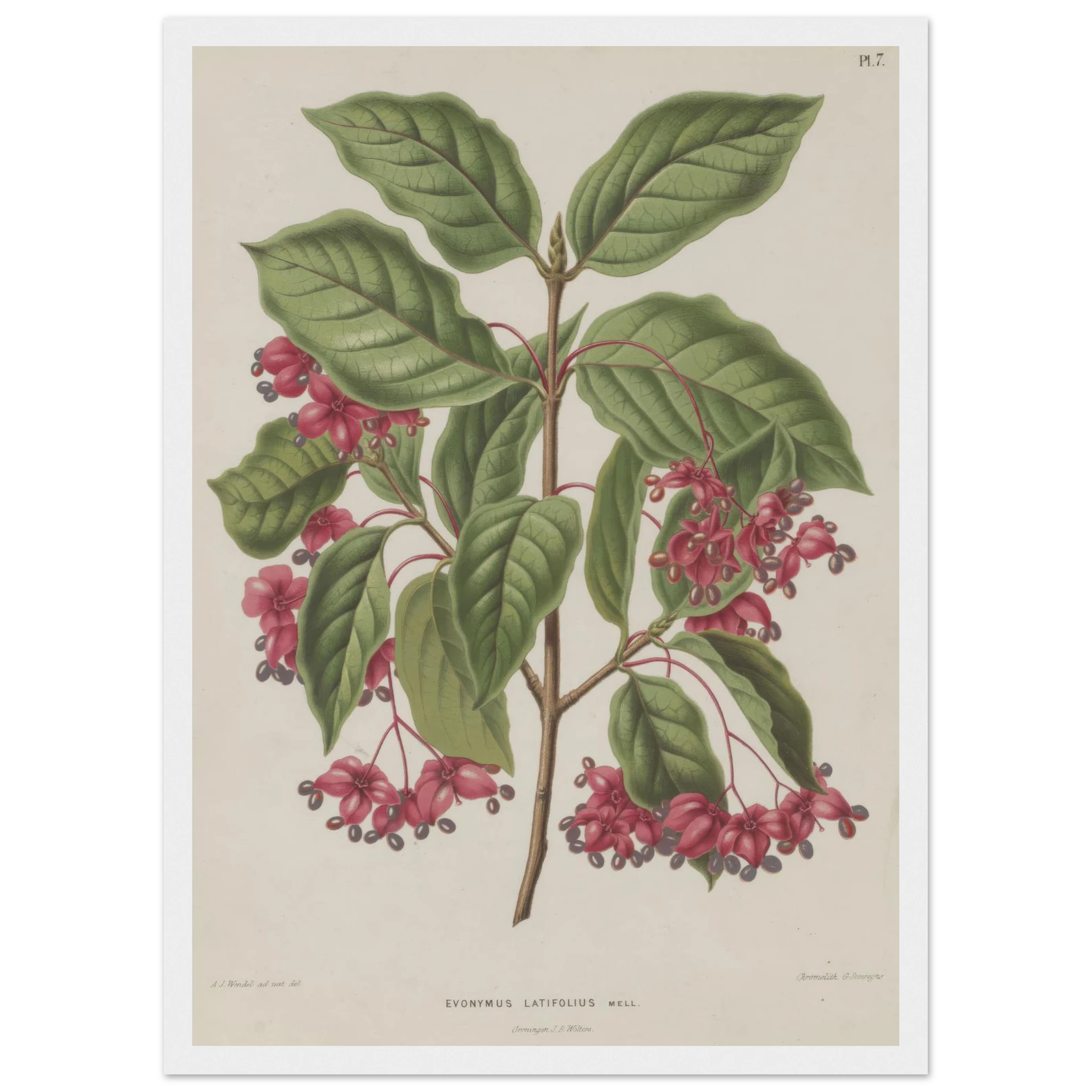 4812e723-b0b2-48c9-a3a5-929c828c1cbb