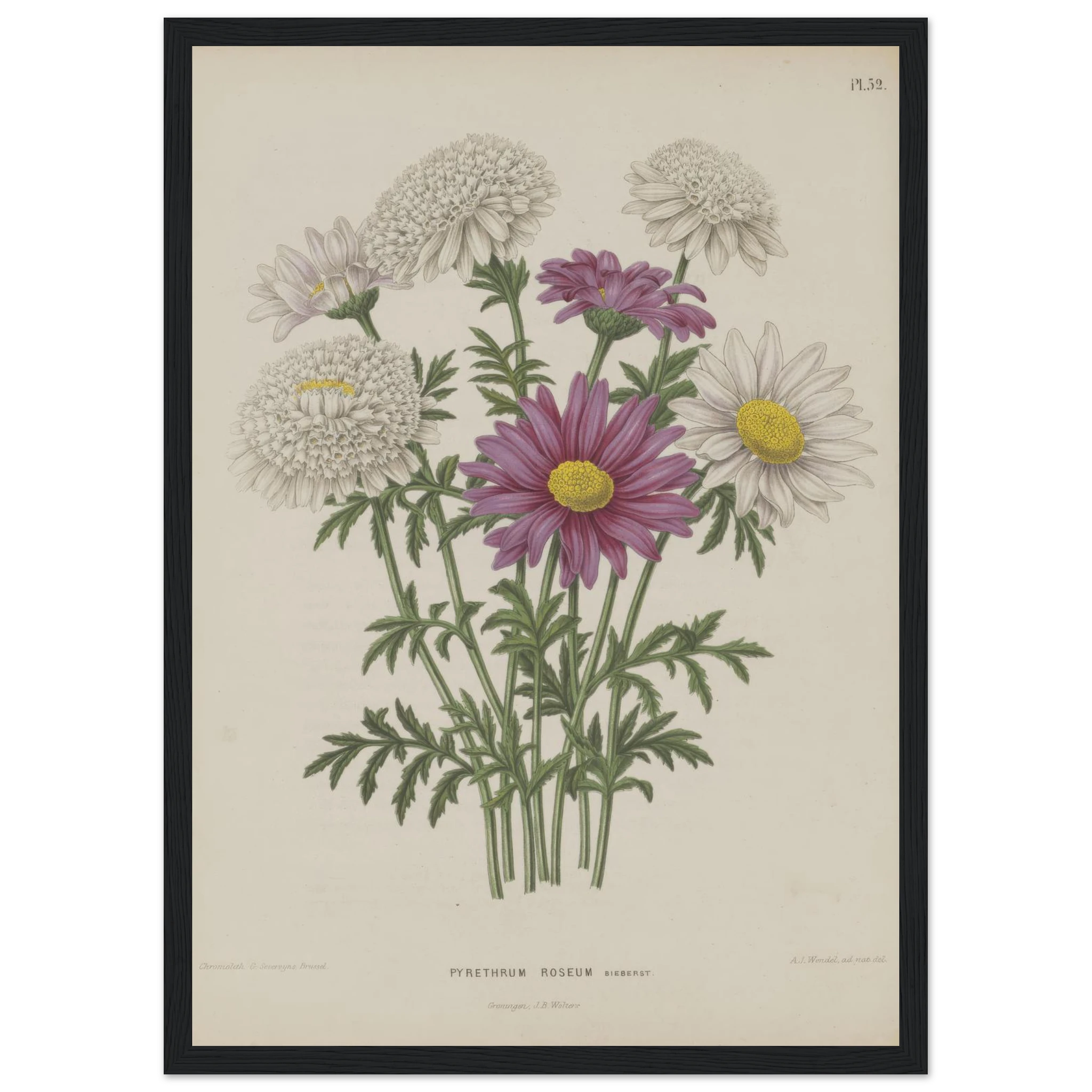 482ad0a2-6616-4c32-97e5-cc591d30f247