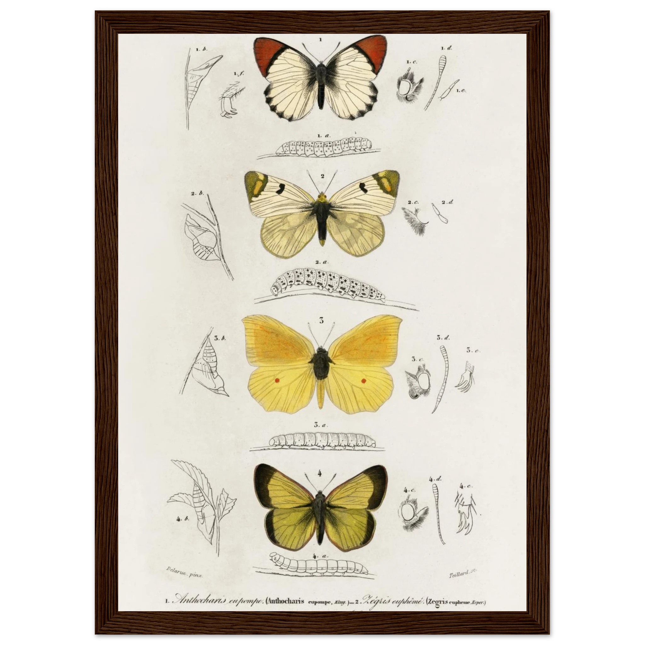 485ee7c8-6d66-4cc4-b91c-91e785fd6315