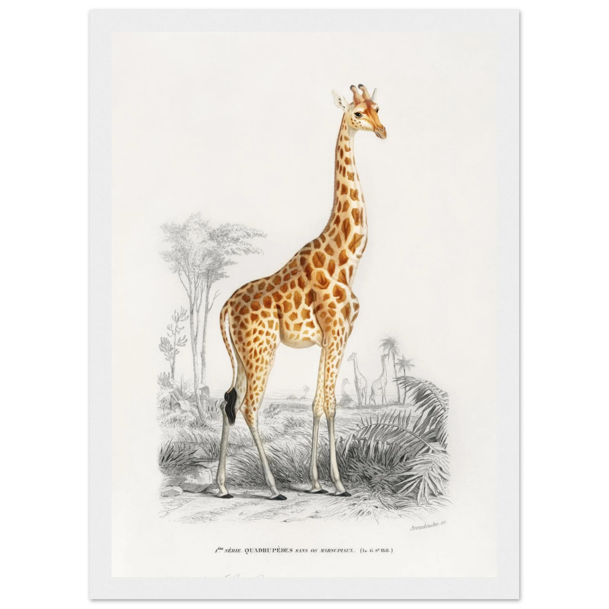 486c35d6-705b-4c57-a078-856f8f14f8f7