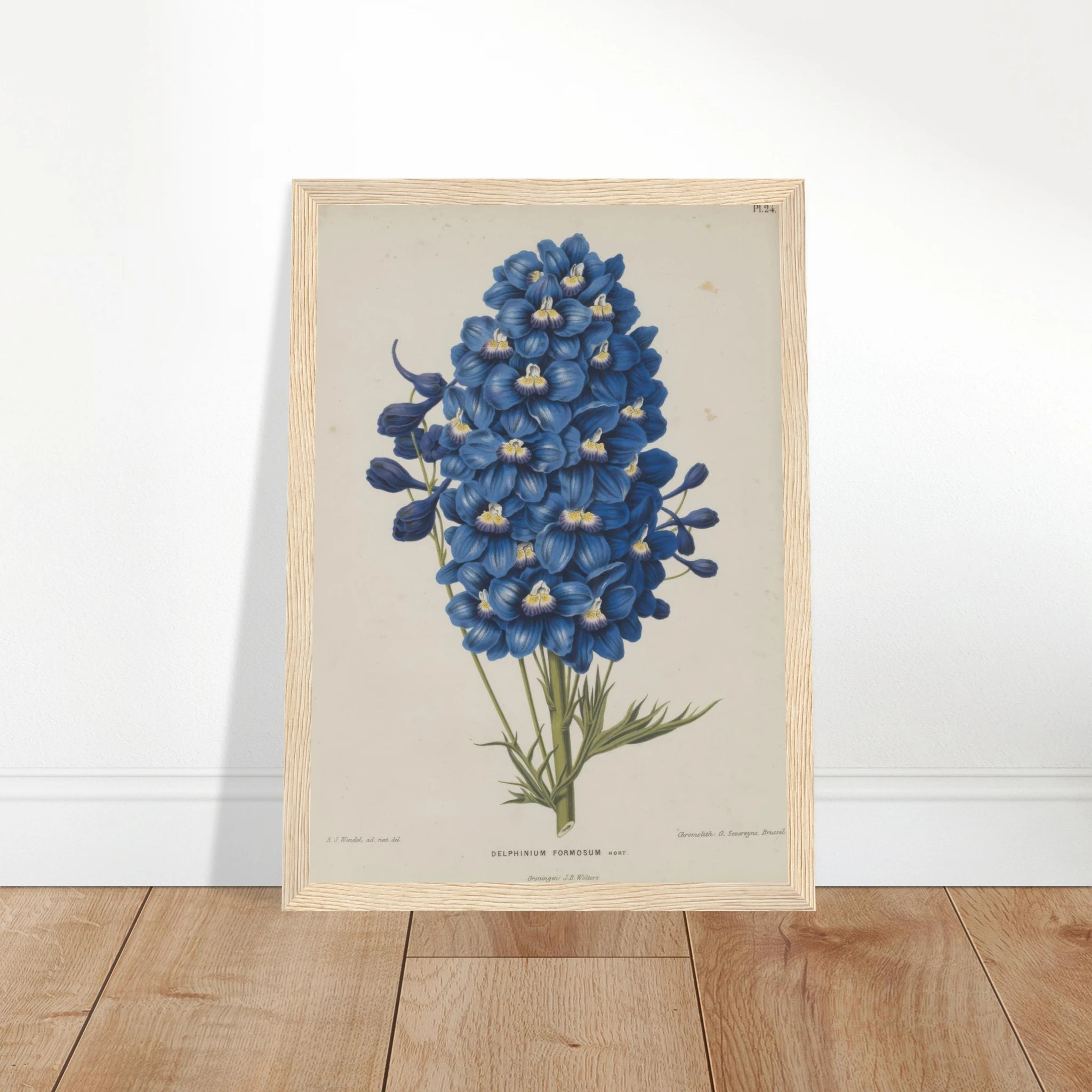 49213b56-32db-4788-b6b2-dfbd372bc63d