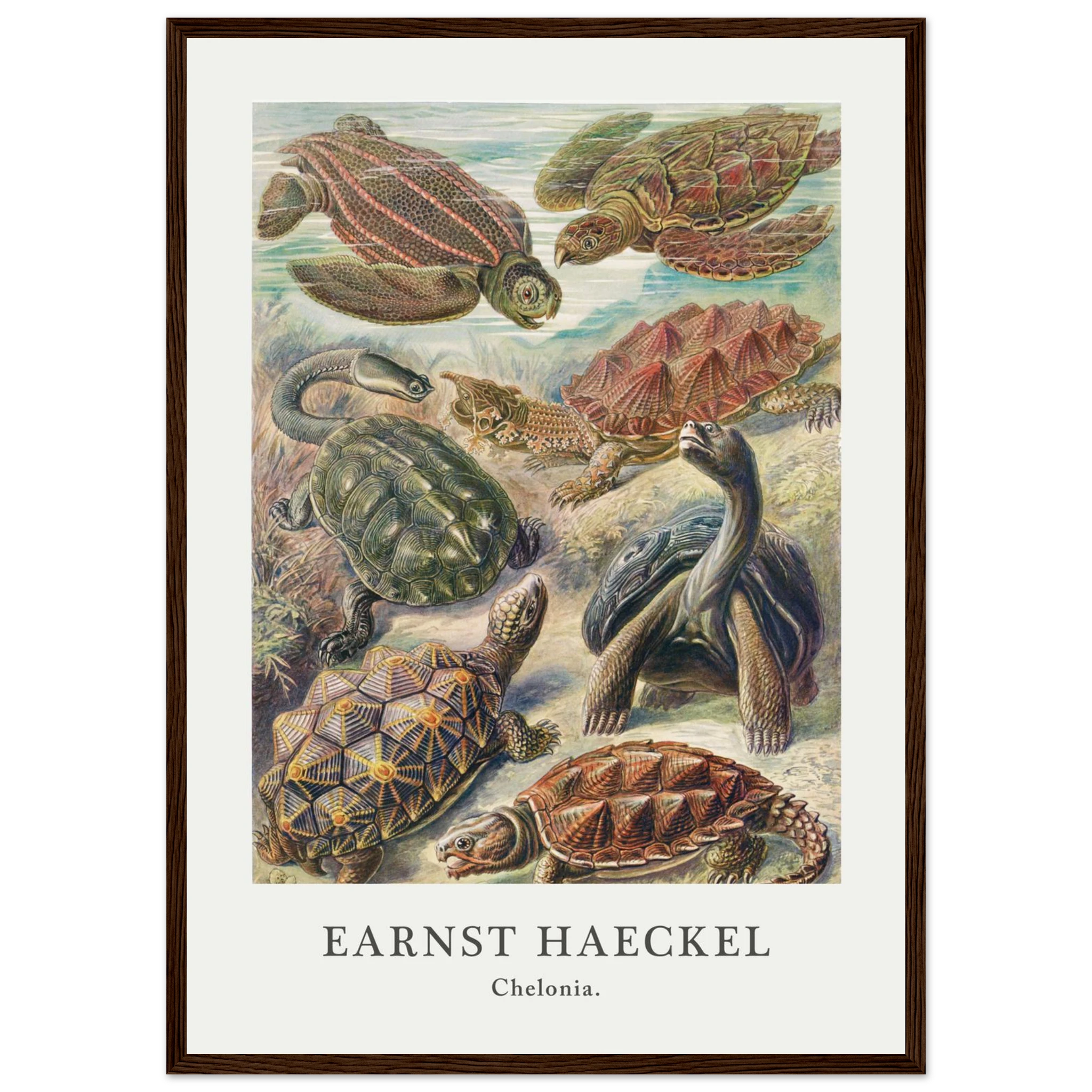 4951d74c-672d-43ce-83d2-c2501bbe79be