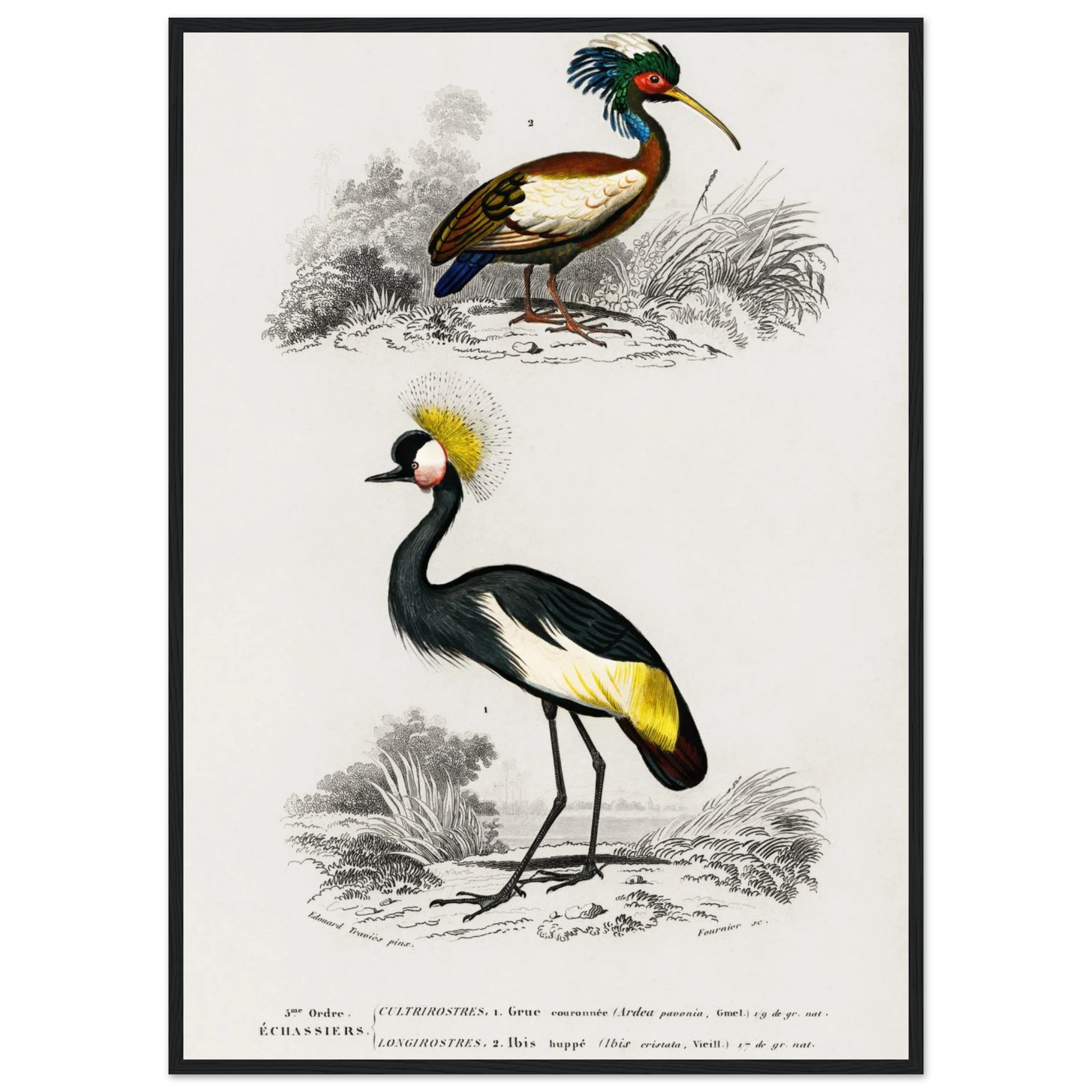 495603e2-3736-45e5-bb05-5608ae8e7320