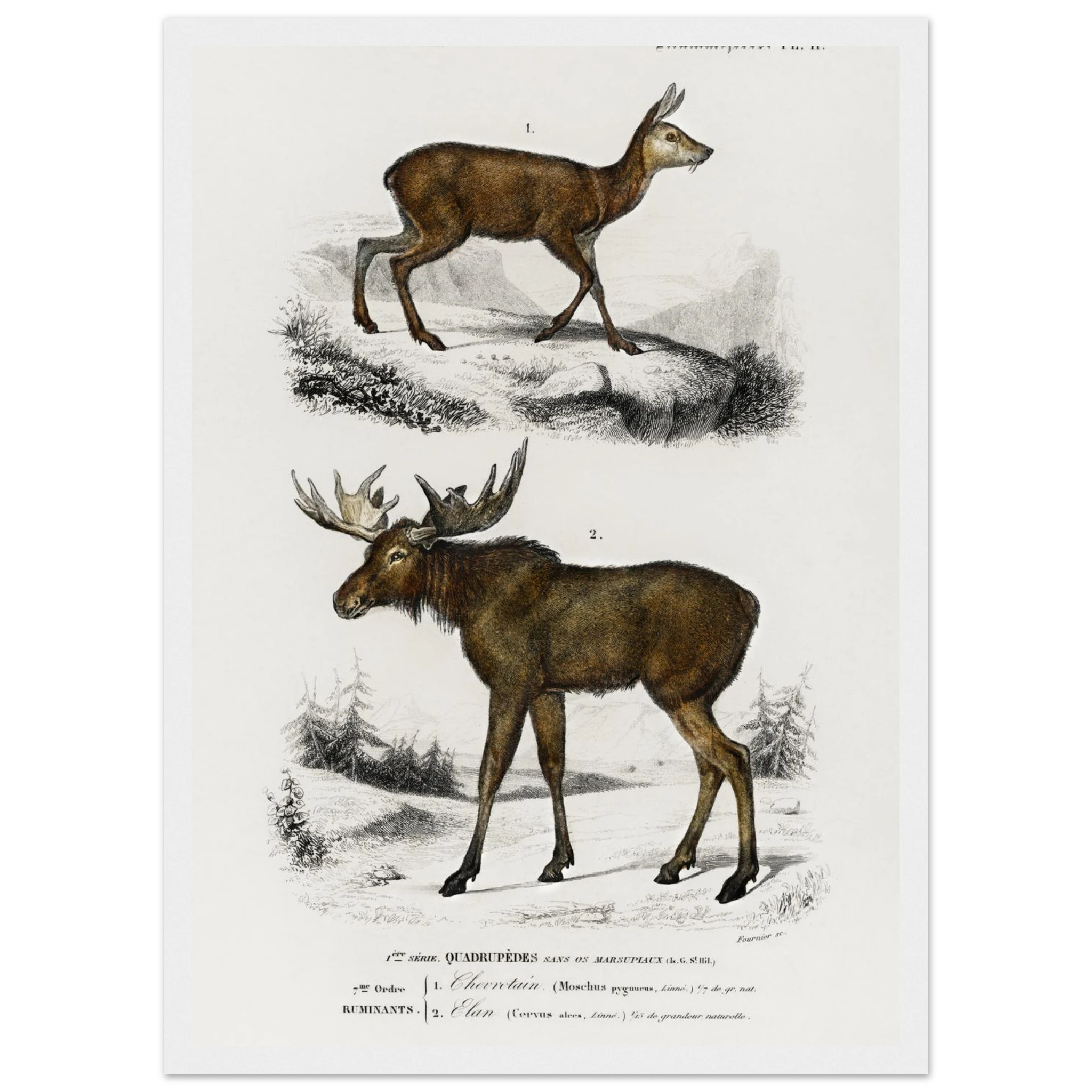 49adf99f-98fe-4830-9f15-f2c4fc8f6596