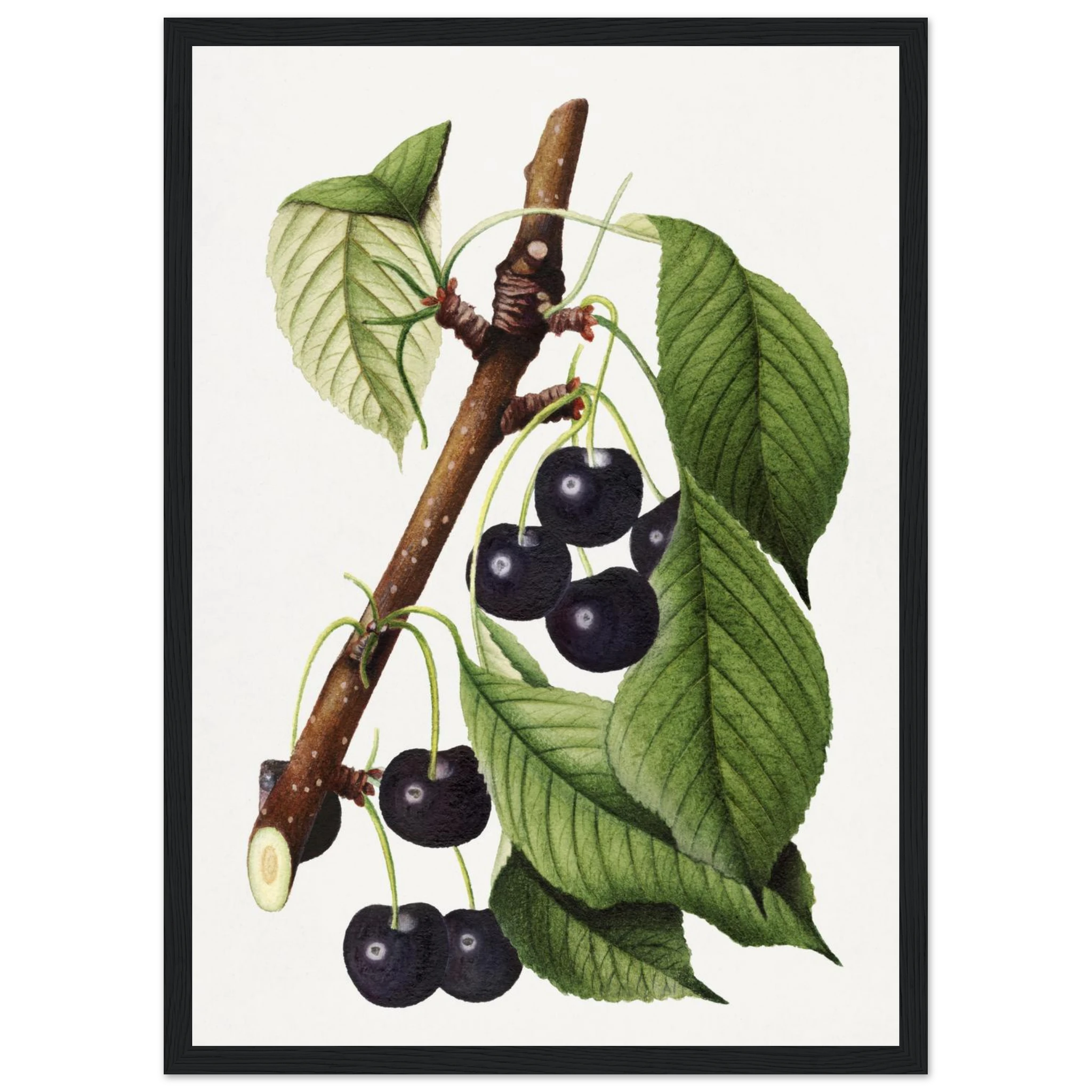 49cd5359-2d06-41a1-9b7b-e2e7ad63d2ca