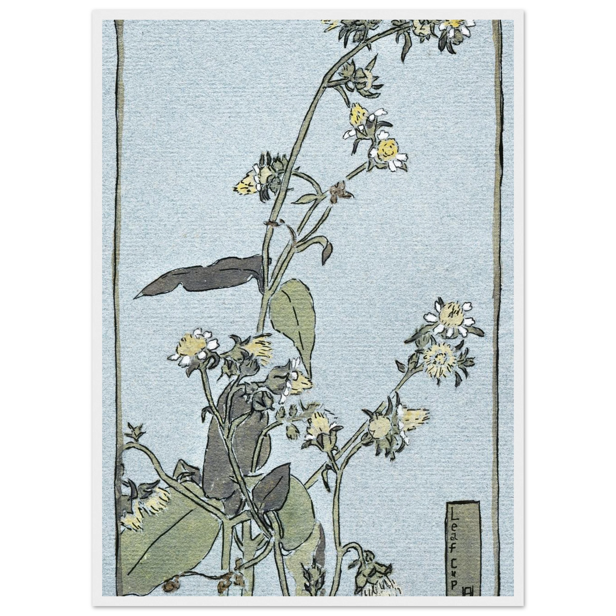 49f30b49-487a-4b4f-ba1a-9bd9d01d2916