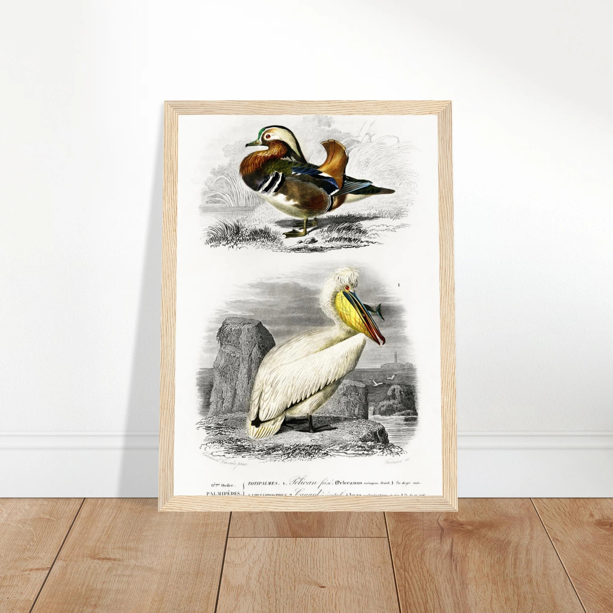 49f71088-a4b5-4da4-9738-2706414c1efa