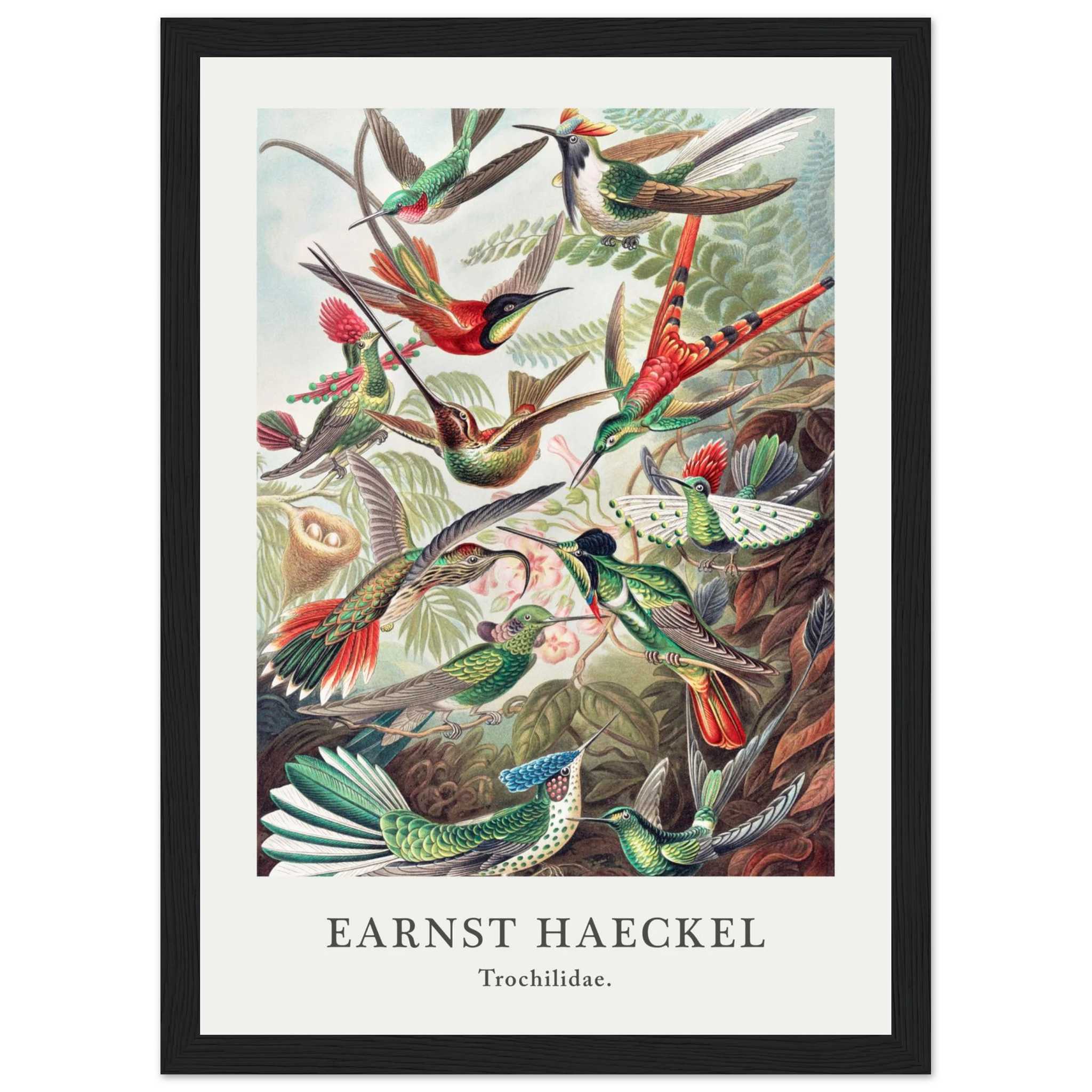 49fcbbae-6157-4539-853f-8b397295905d