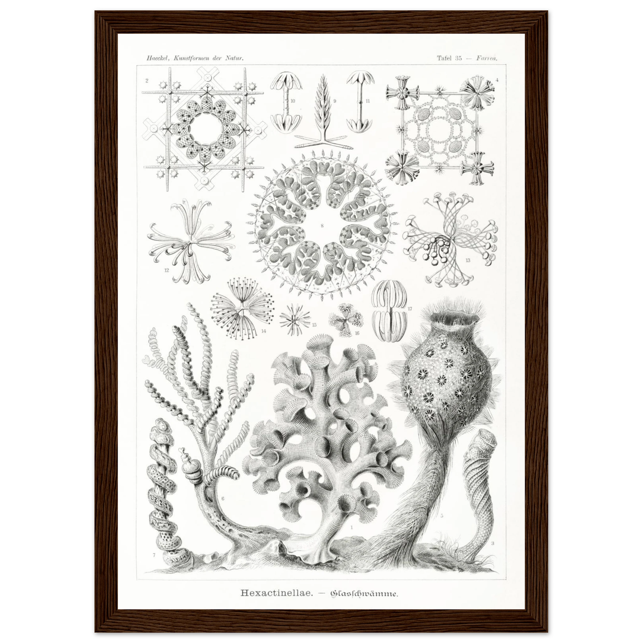 4a6c8db9-6b48-4c8a-b3e9-5e2964b10bf5