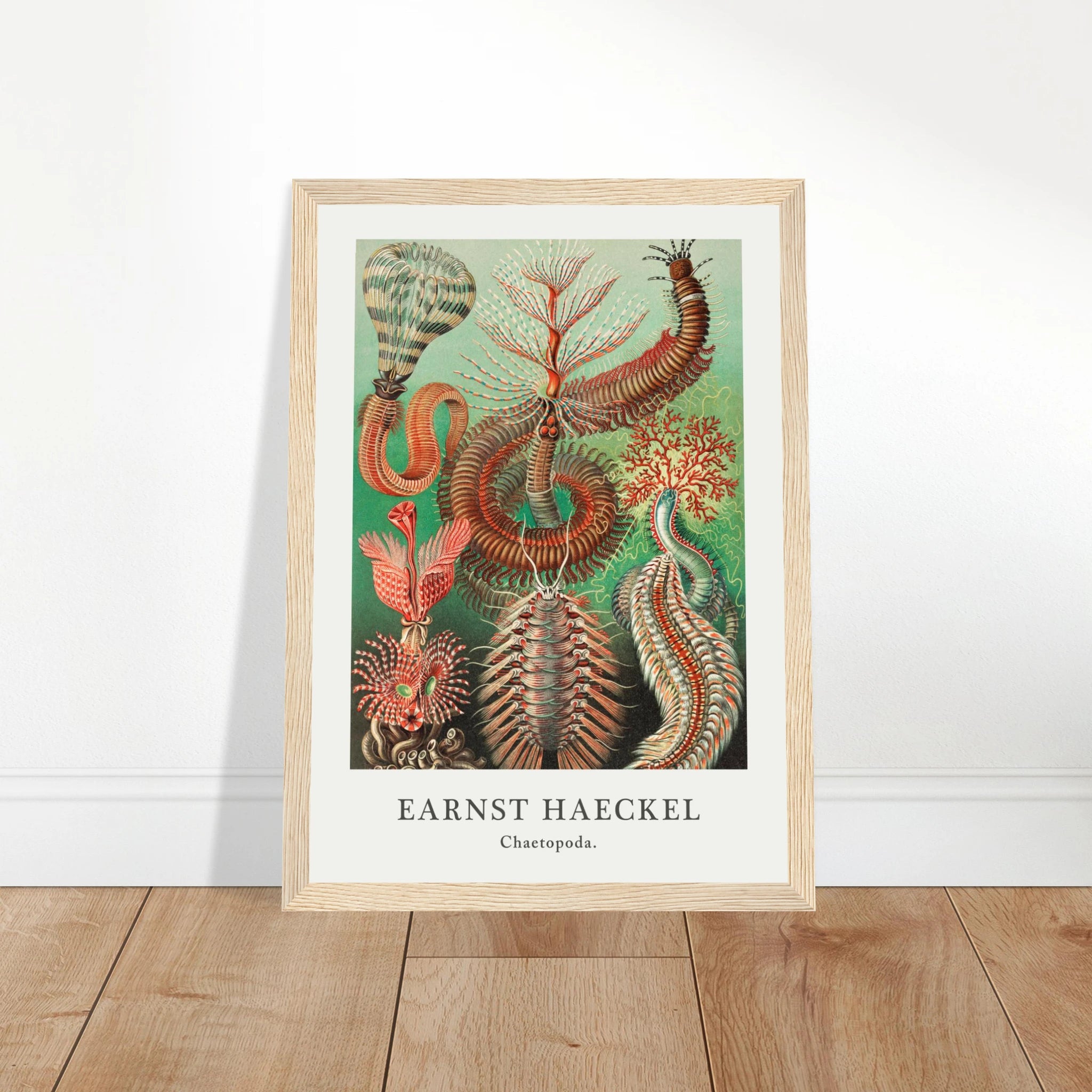 4a8f0d09-b838-429b-95a5-2a4d7bf34680