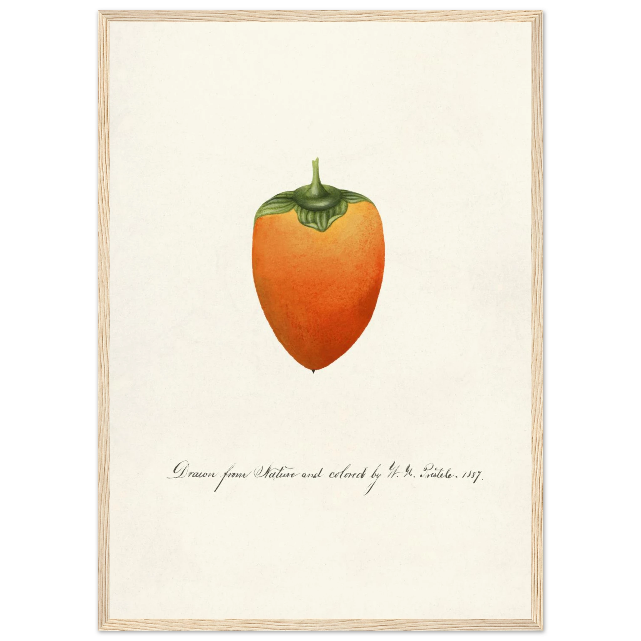 4a97188a-b7c3-4998-84e6-448845c980d1