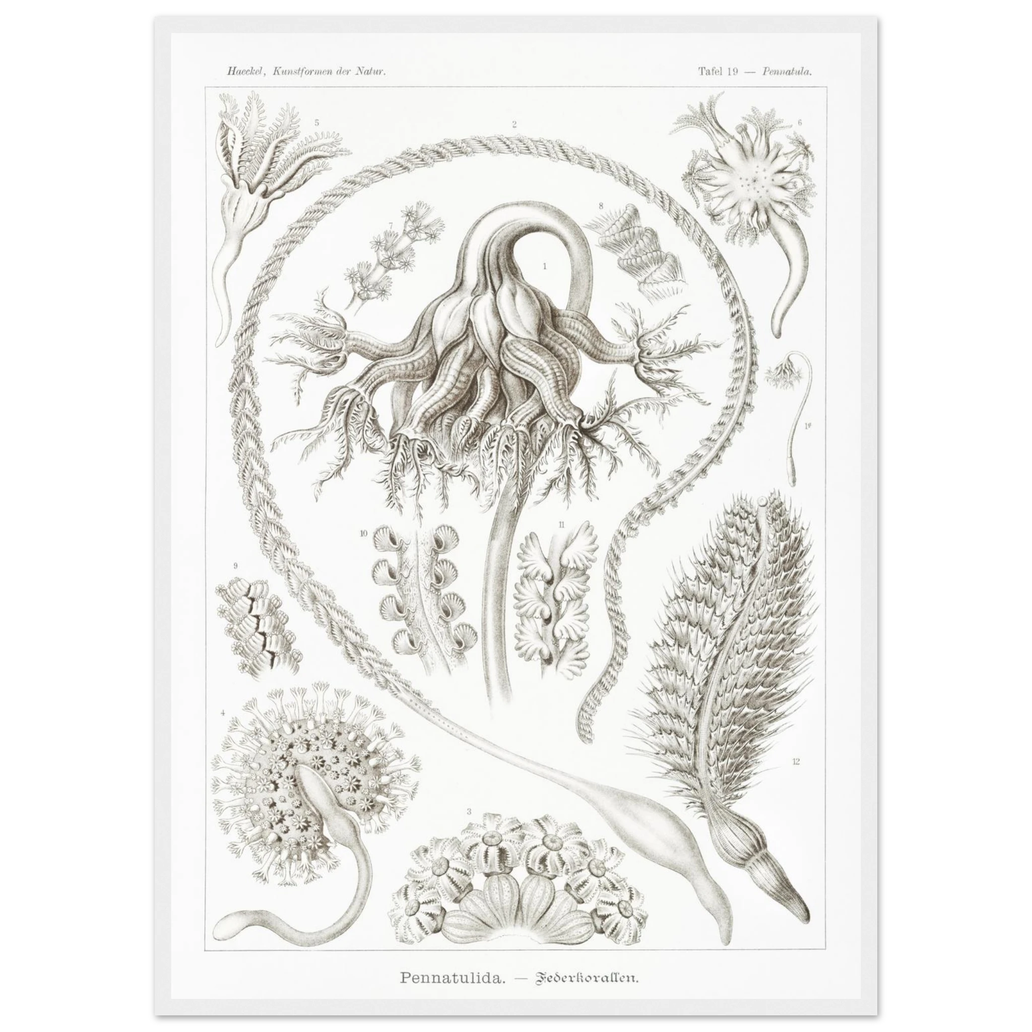 4ada935b-b343-4e10-a1f7-5ca01f0a024c