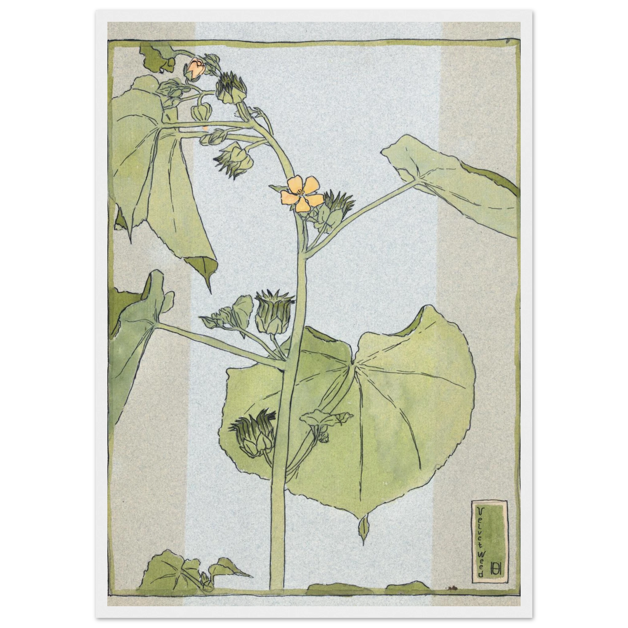 4afbfaa8-2a11-4180-a7ff-ba6ff13f3f21