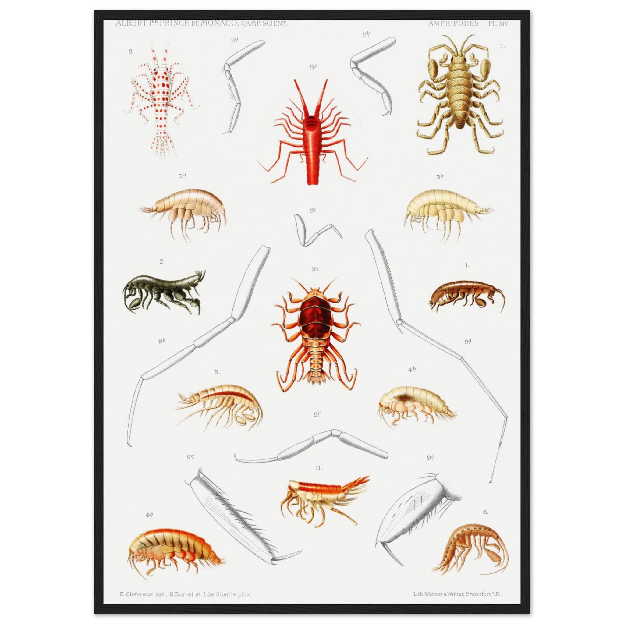 4b406885-268f-4a92-b919-b78288a1f5f2