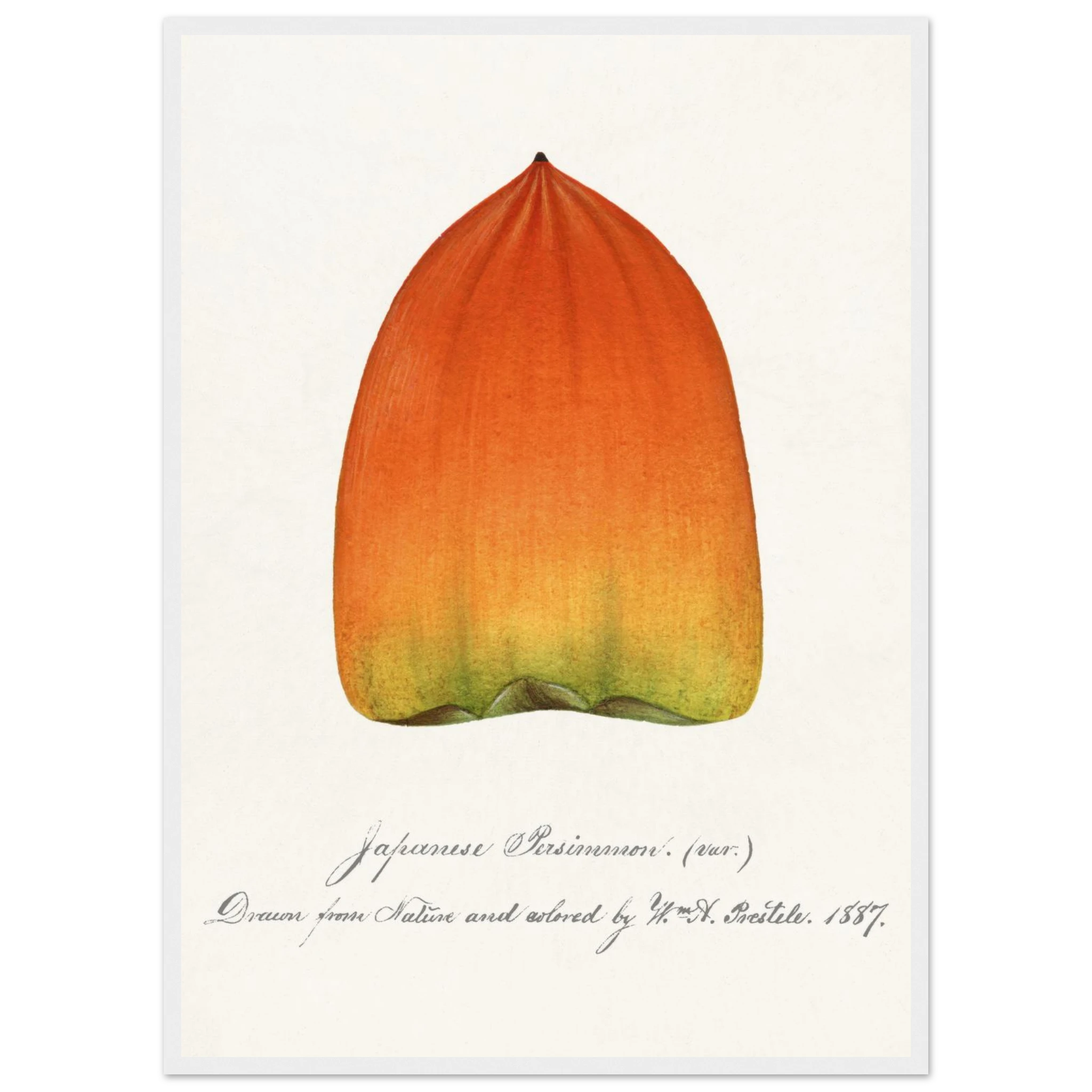 4b49dcaf-c327-4f38-a399-82f34d0a0a82