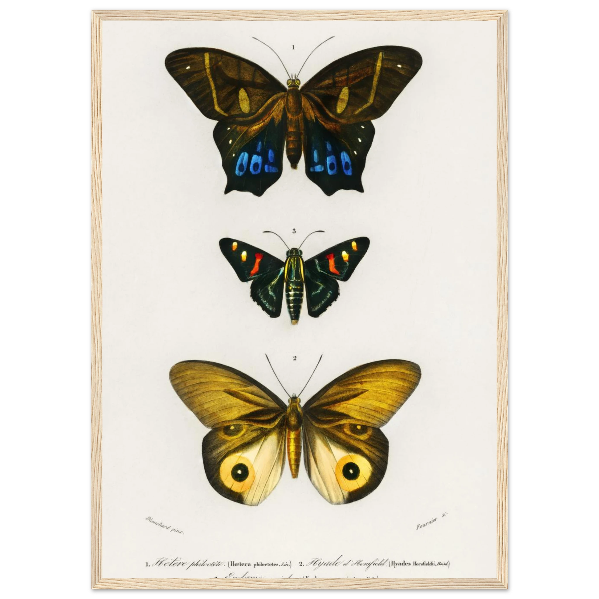 4b60b94c-3390-46b3-bfbe-ed7c014958f1