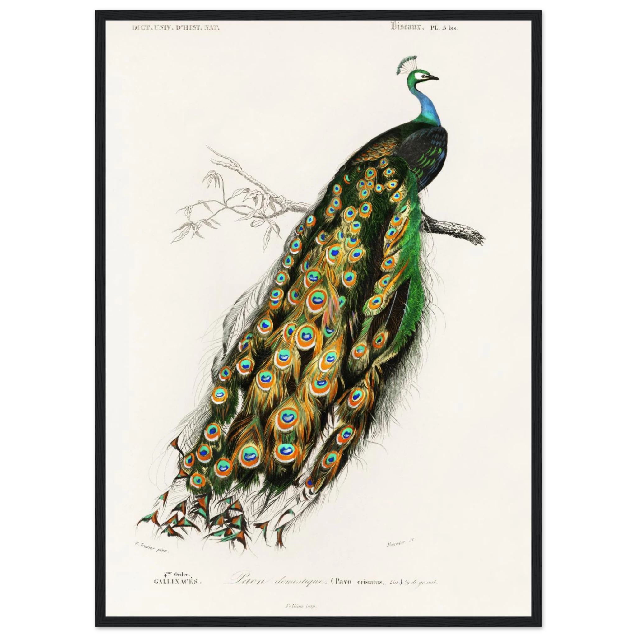 4b87a59d-10e2-4010-bc39-b05fcbf9b7cf