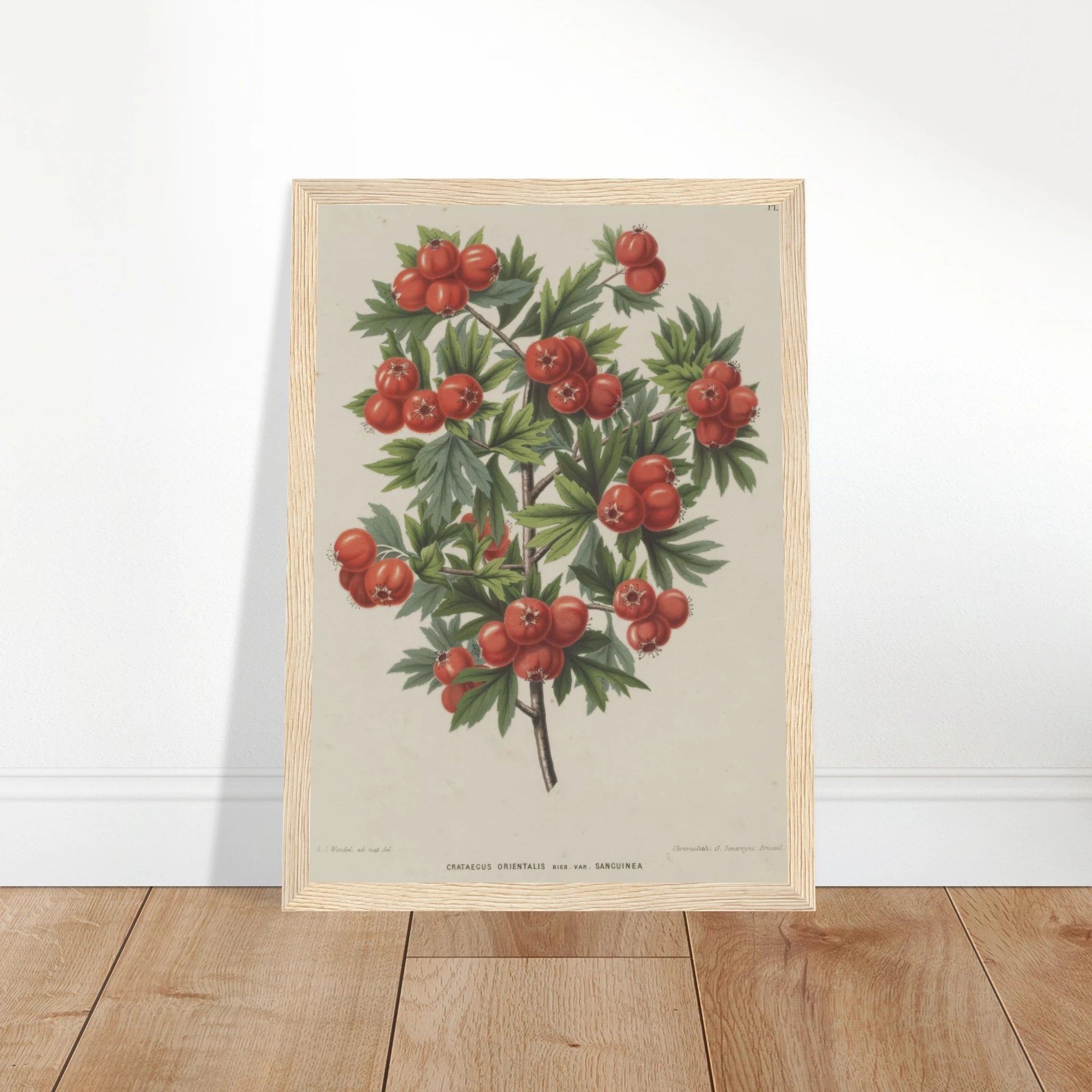 4b97dfea-a38e-43d3-8559-be8c5244ba97