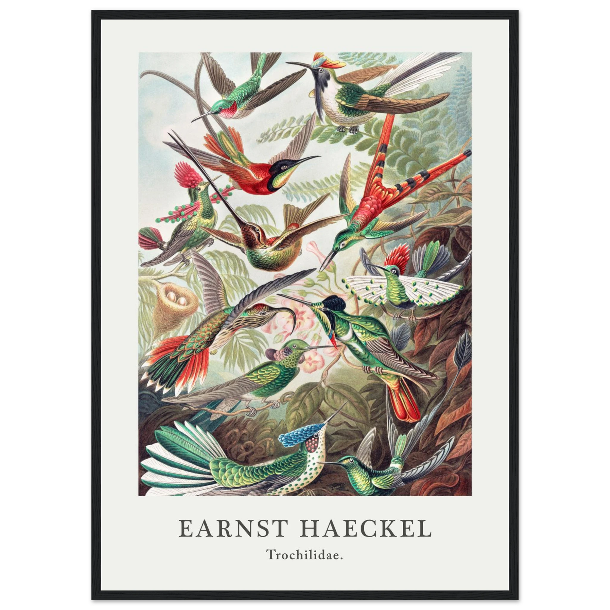 4b9d2bf9-6e38-447f-bfbf-bfdacbd41396