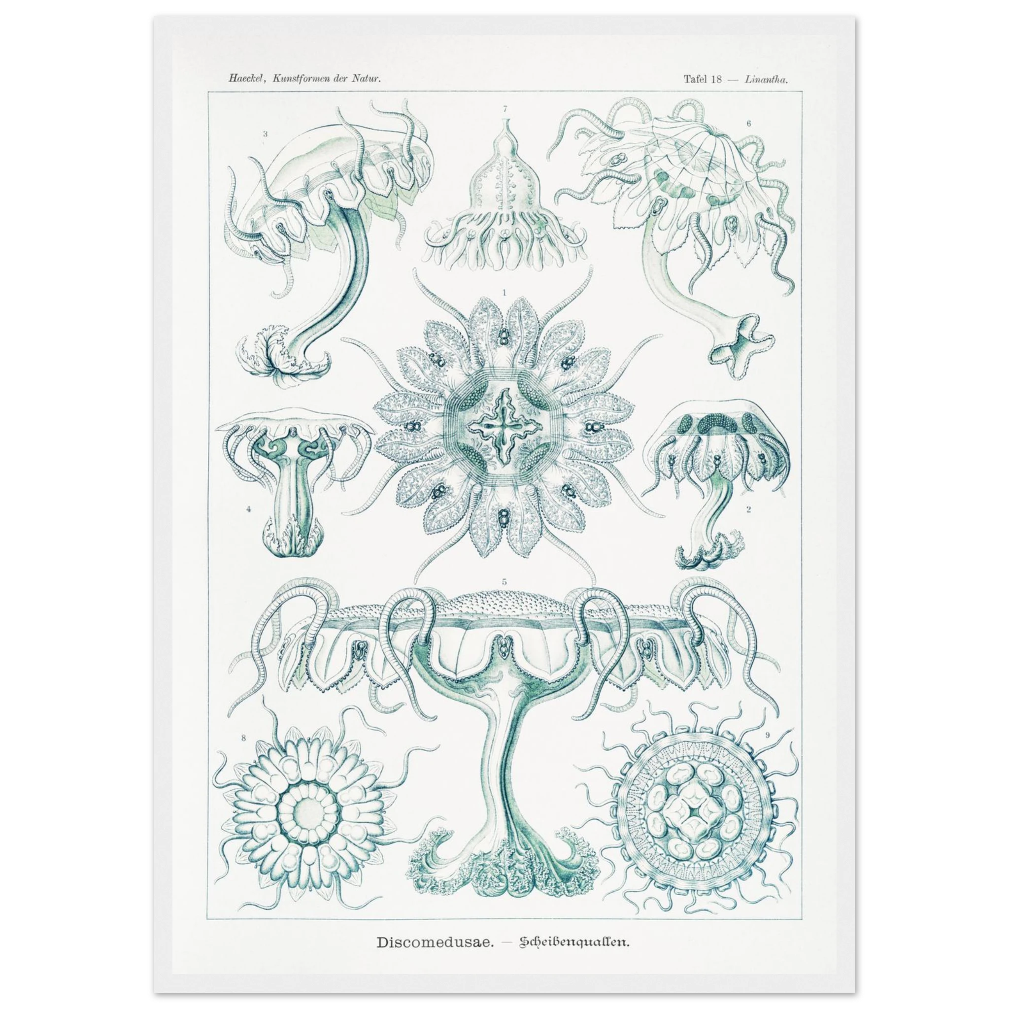 4ba0f304-ece1-44e0-95e9-f78bdce238c9