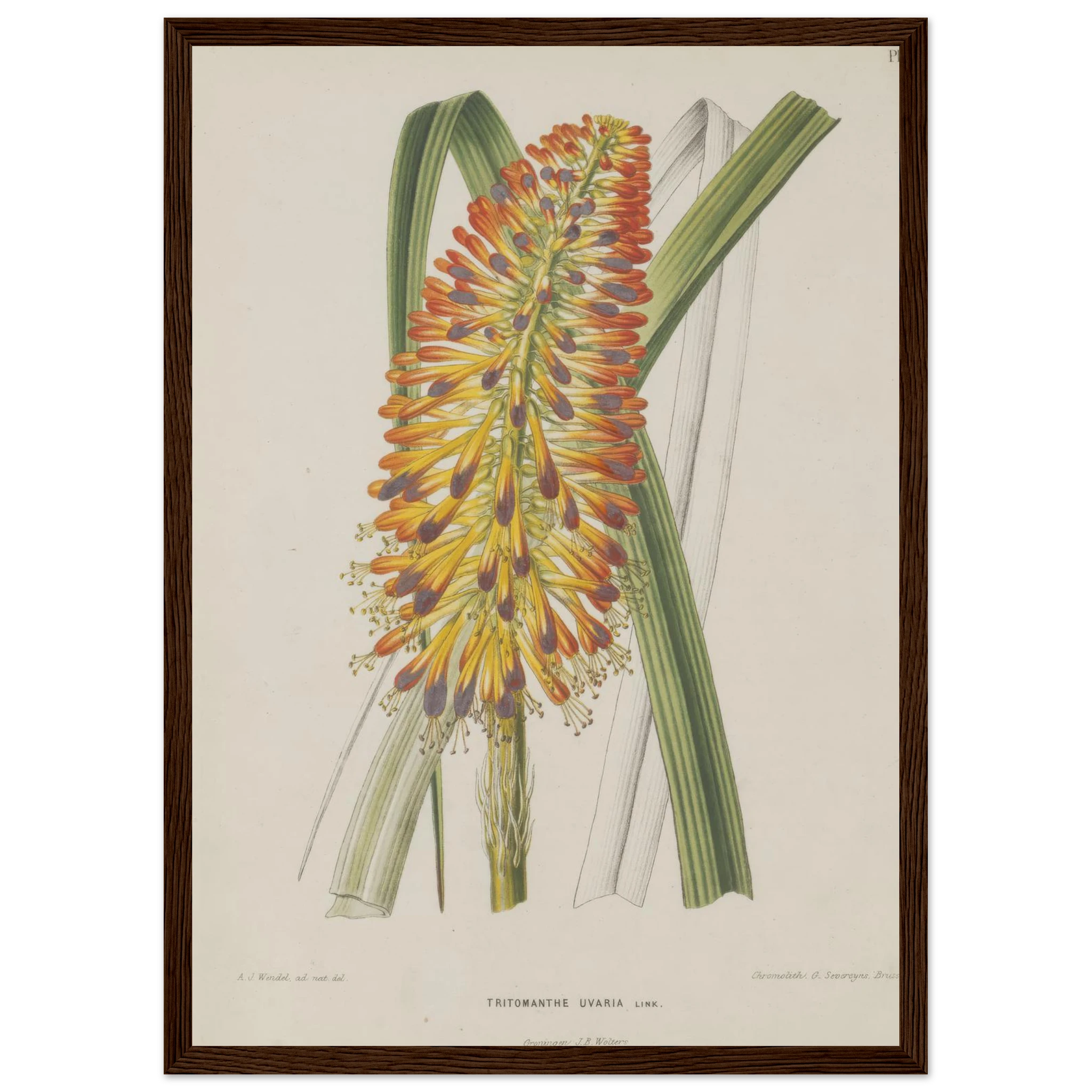 4bb5bad4-2dff-4335-9cd1-6230c92f5543