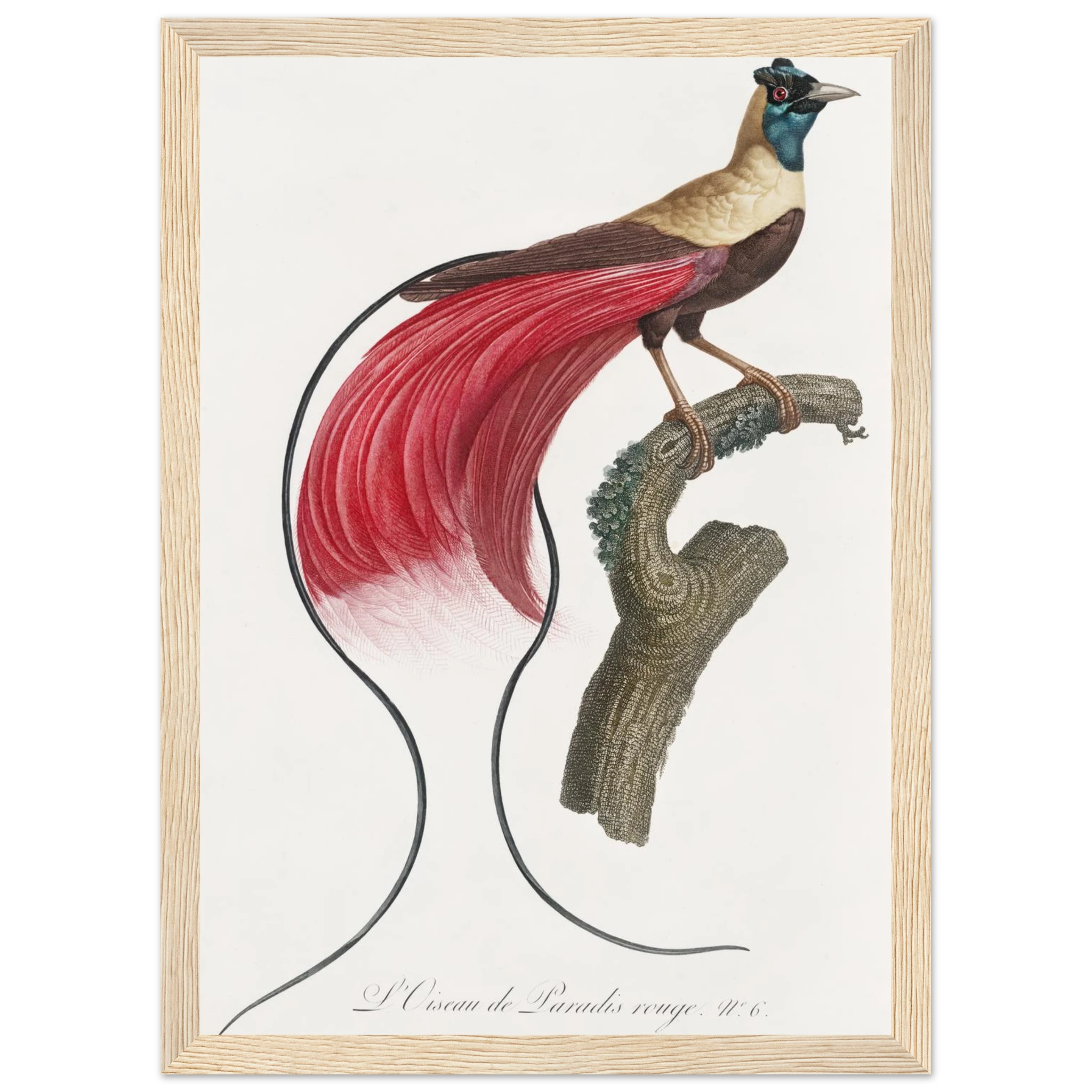 4bbe7161-8fde-4bf1-85ce-185f8d201ade