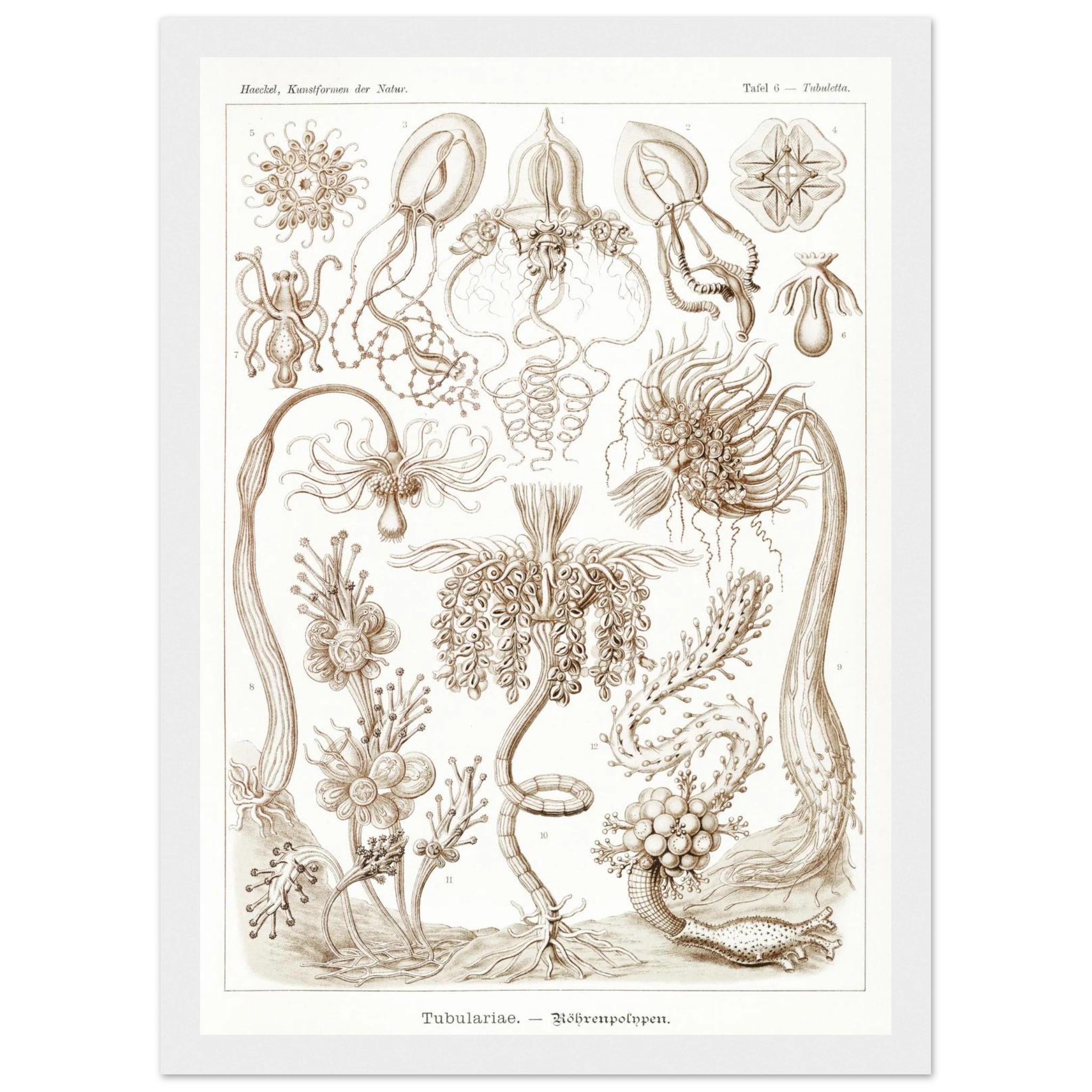 4be5d71e-e1fe-4136-9d05-cd3853926800