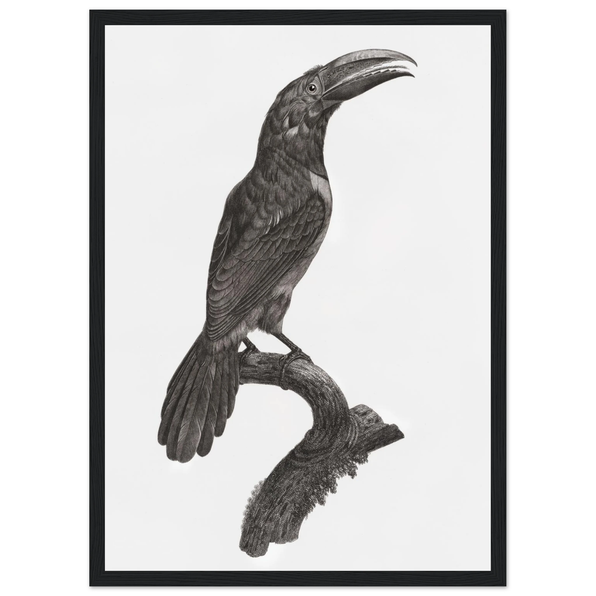 4c0ab69d-c8eb-4a34-9ab9-bc540937eefd