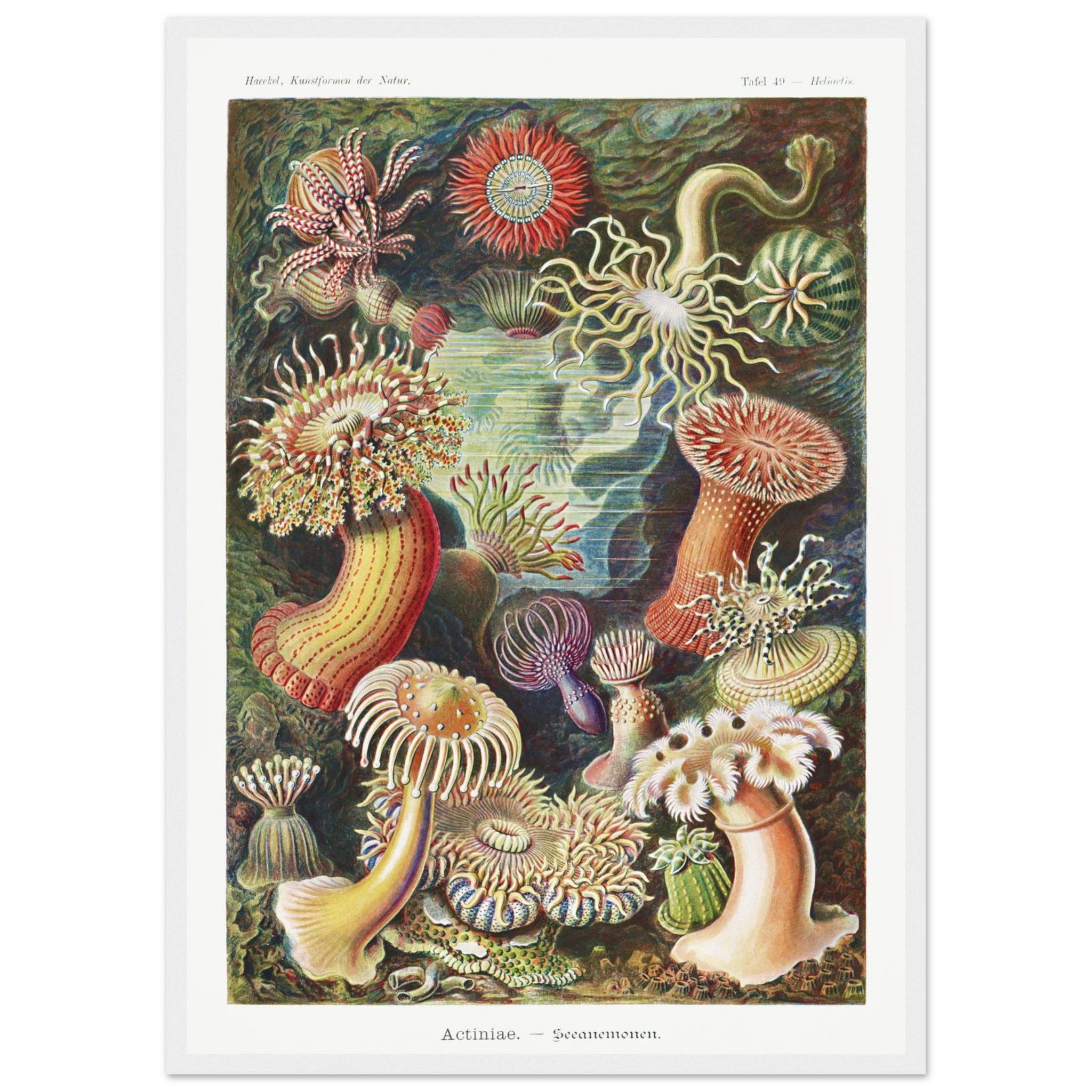 4c4d749d-baa7-45c2-bf2a-524c3d1843af