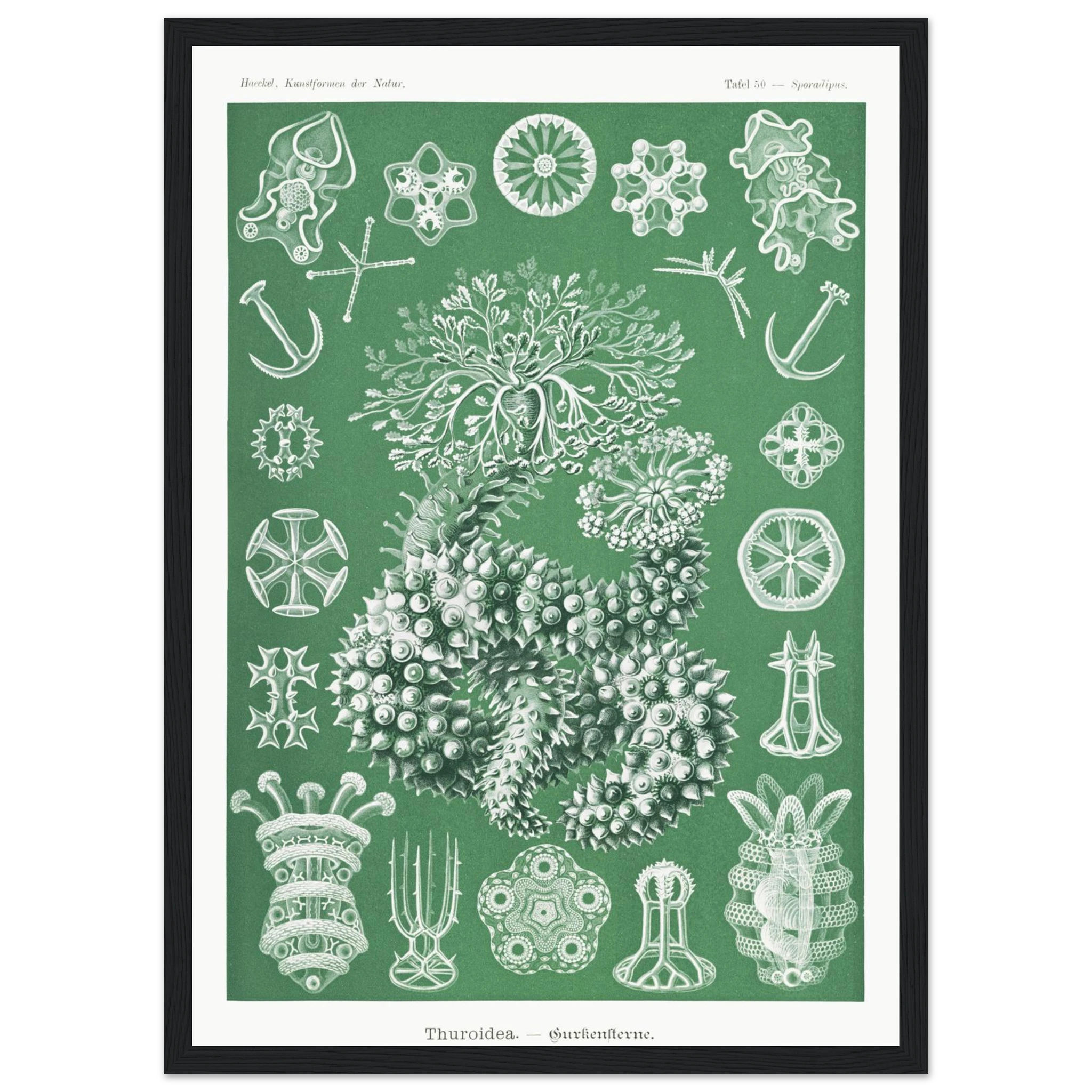 4c8f196c-ba09-4e25-a601-31bf8da8ba79