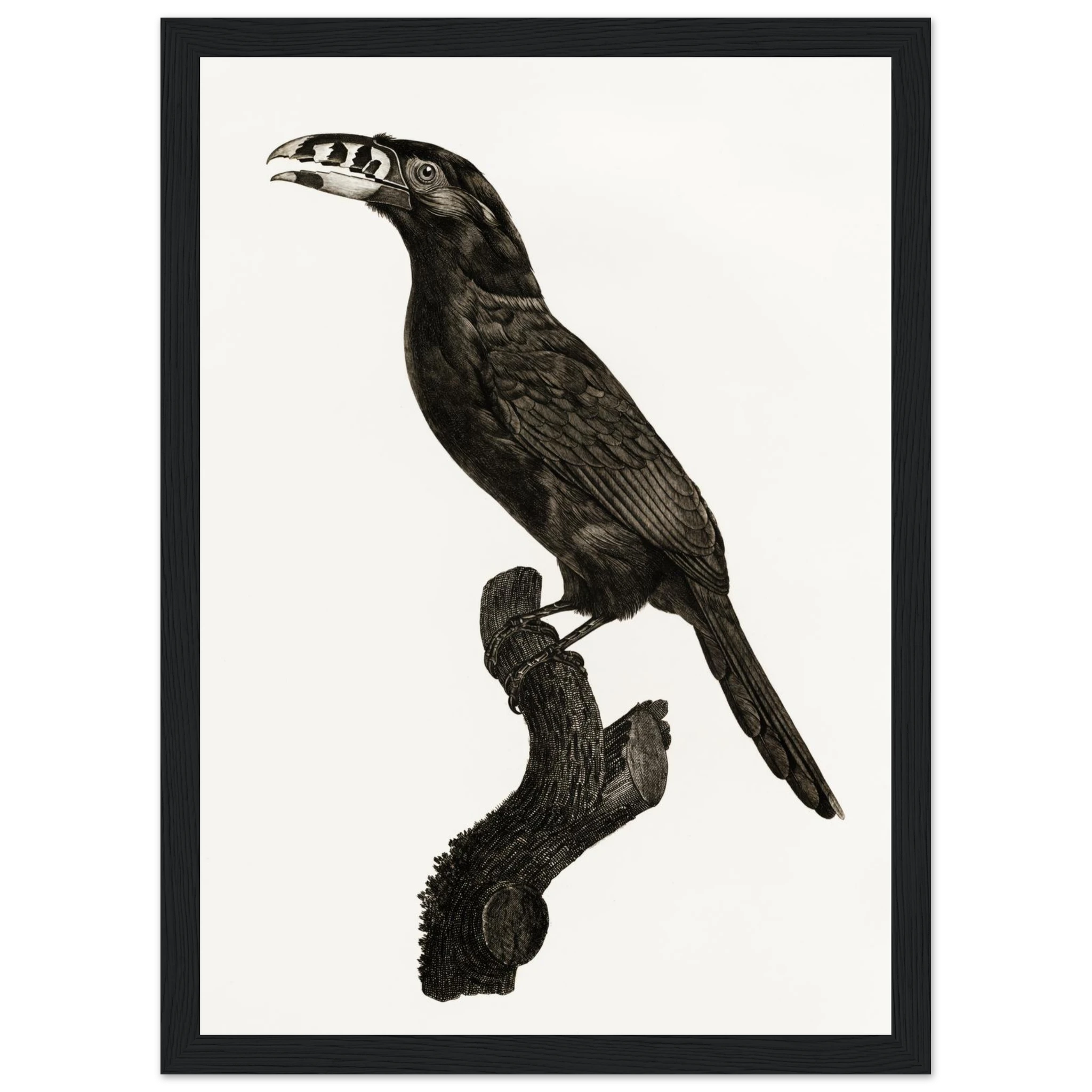 4cb4d3ff-0f9c-4c8b-aed4-3f867ac99fd6