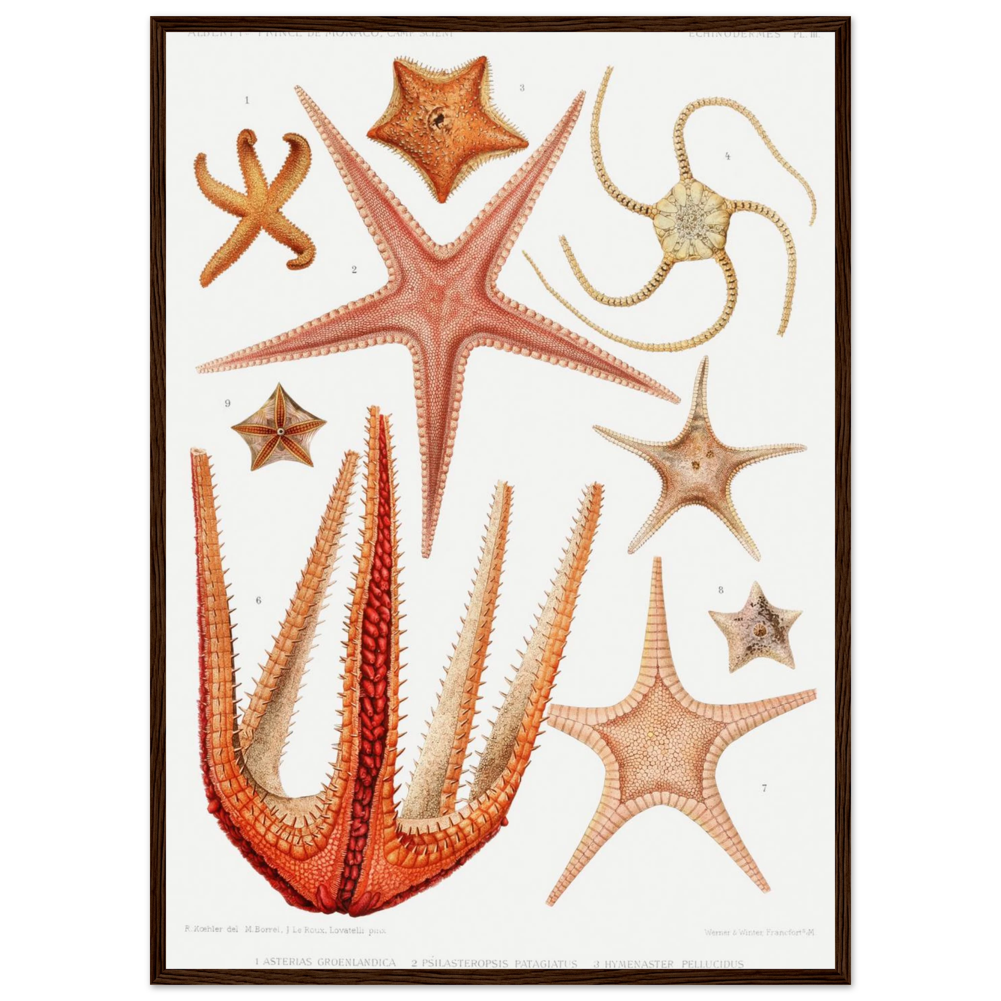 4cbc5369-4dbb-47c7-b48f-59d057e4735e