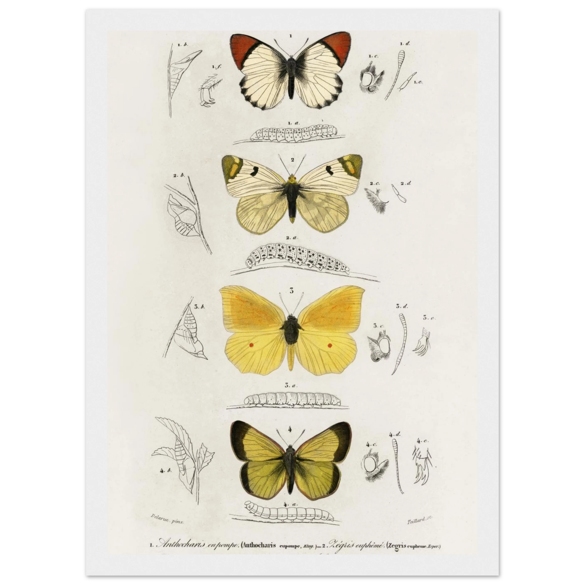 4d180242-b12e-4aef-bf65-277a66ba9612