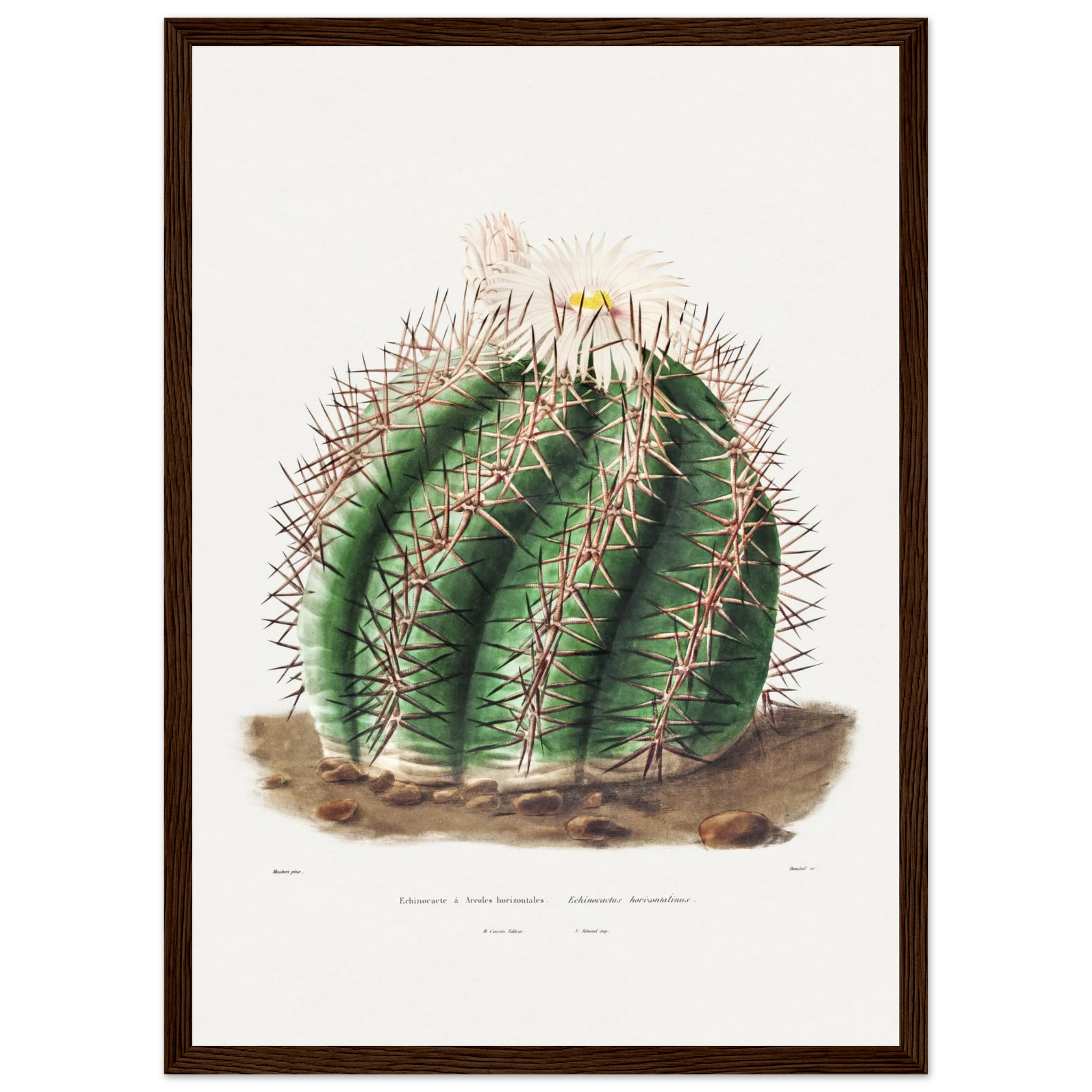 4d428884-cabb-4aa1-9916-352d230e5ec4