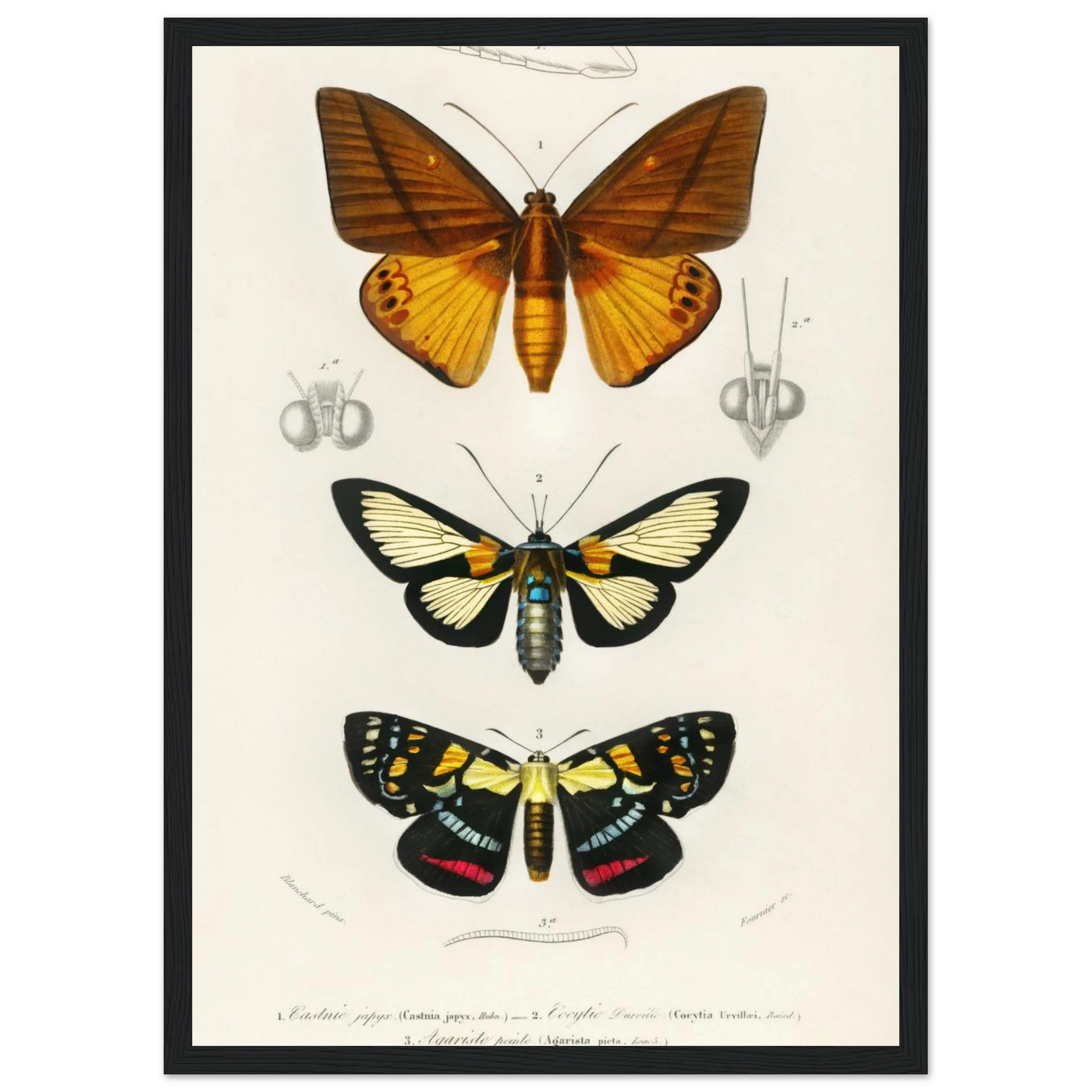 4d60c1cb-9acd-45b8-aa0f-64d0c43f8b92