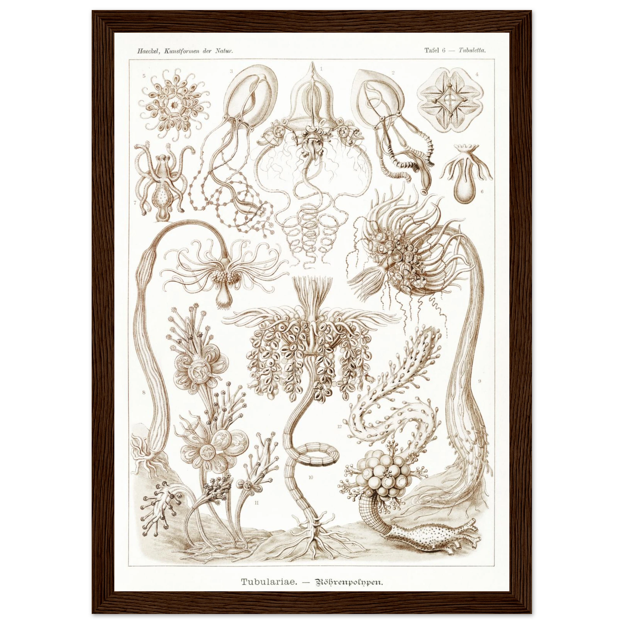 4d7e734a-ef0a-4ea8-a8d5-93ce6afc2b69