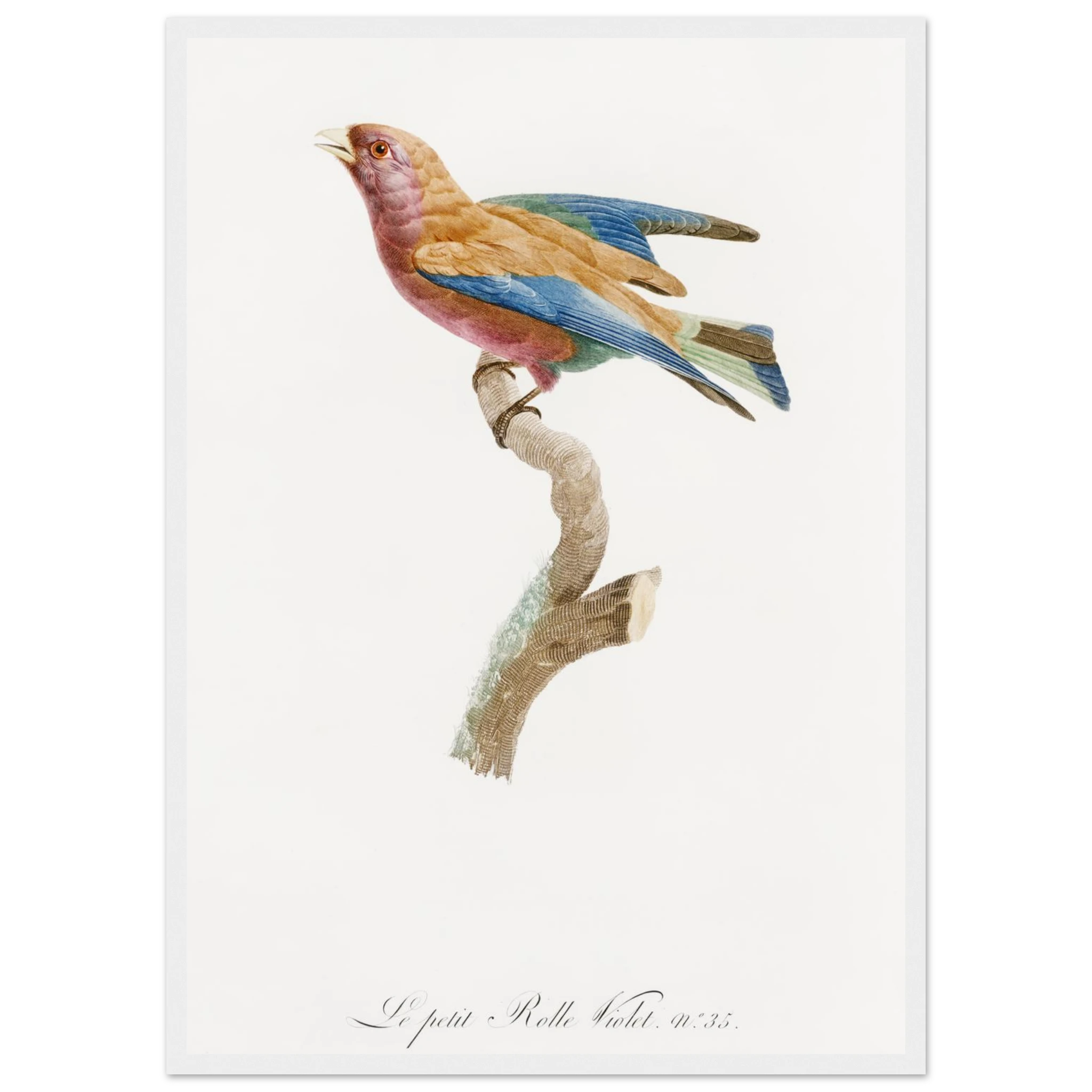 4d915273-677a-425e-a838-fcde823ce034