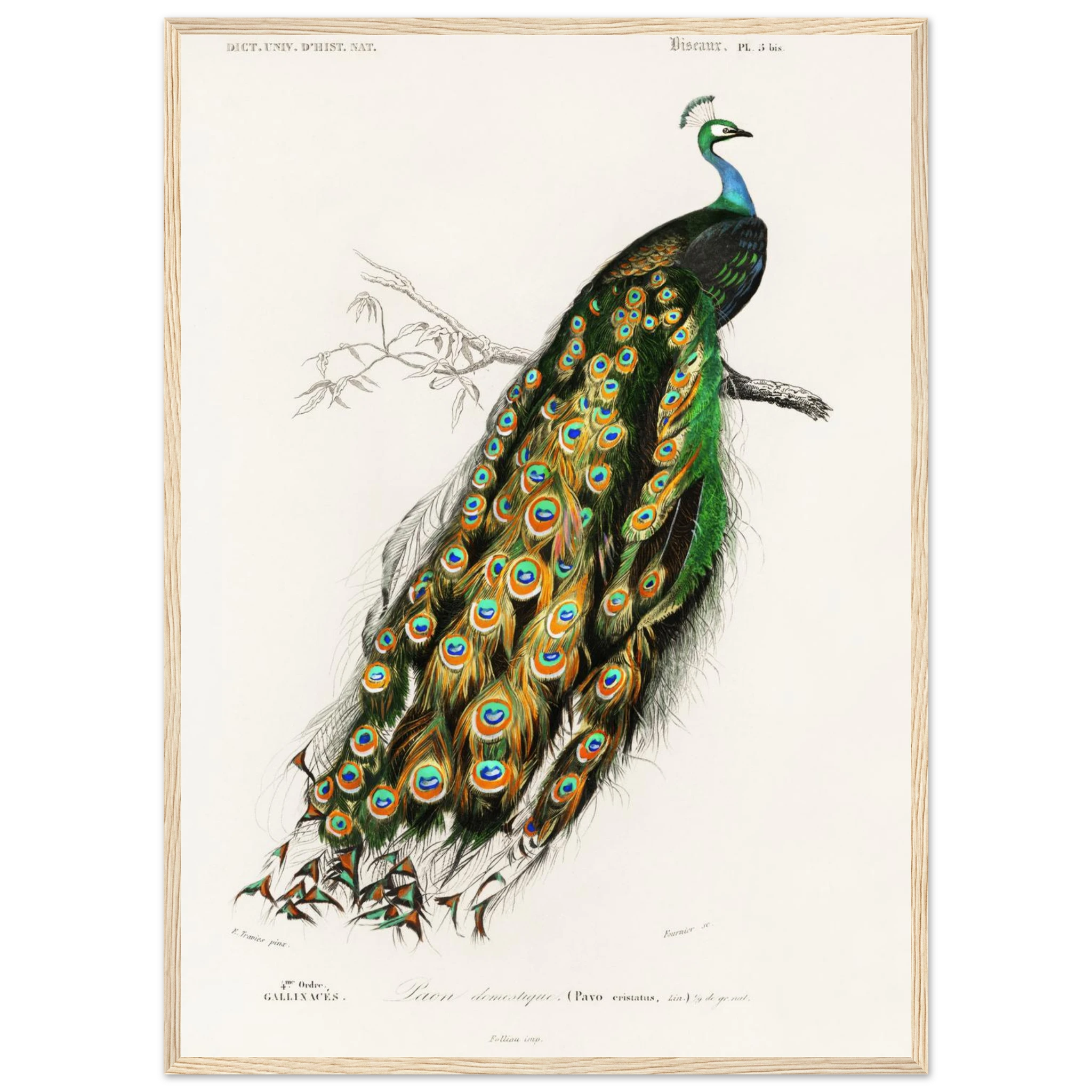 4e11ef58-4bce-4a95-bc57-ab8921e02544