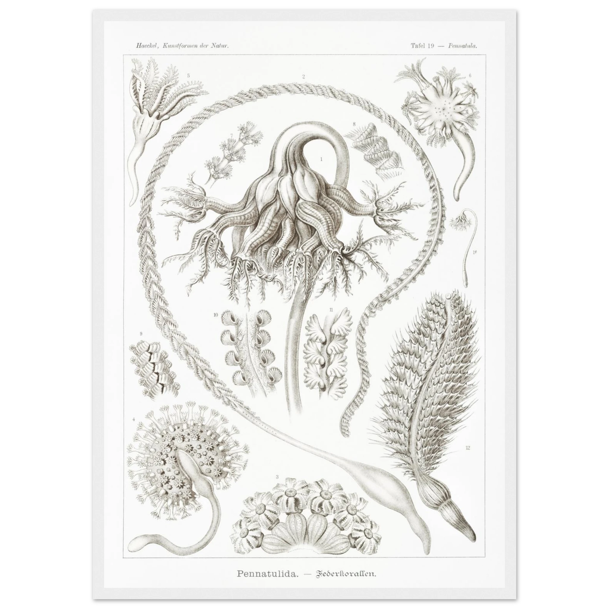 4e13826a-e808-43f2-abb7-efaa4cc2d163