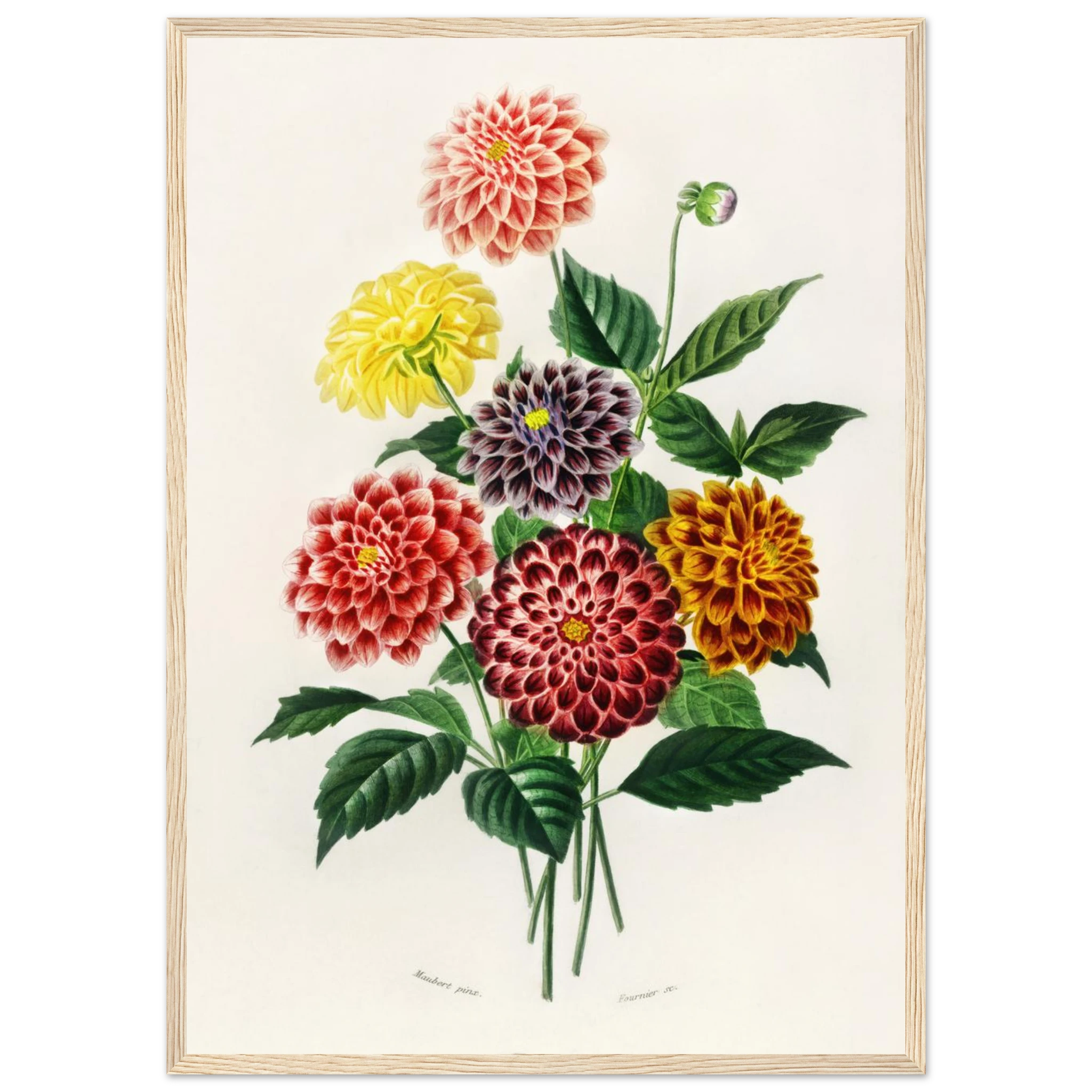 4e5ad892-7a93-4c2e-9d29-8ee66f9f3969