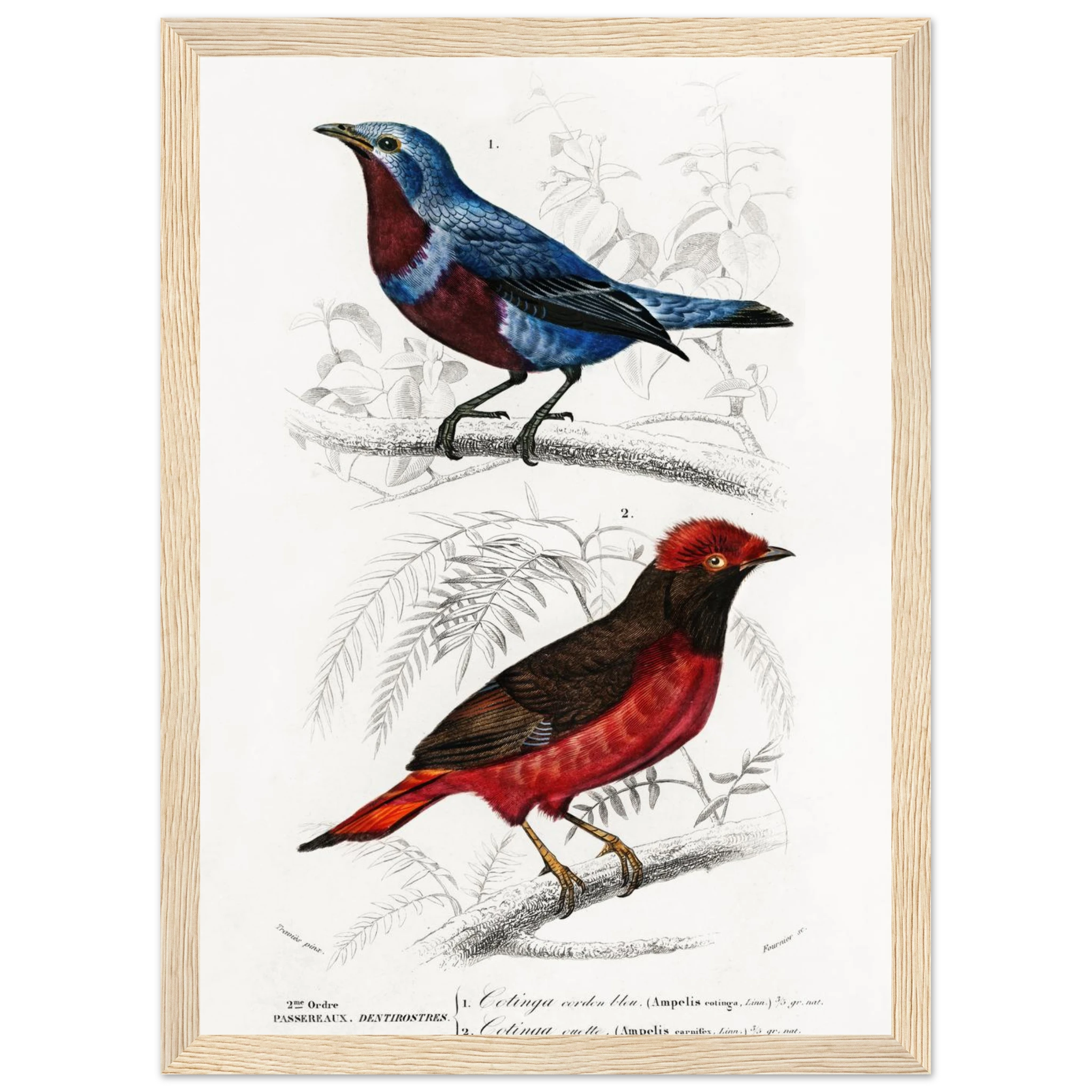 4e7c185c-f6b8-4cad-a75d-0fd80253244d