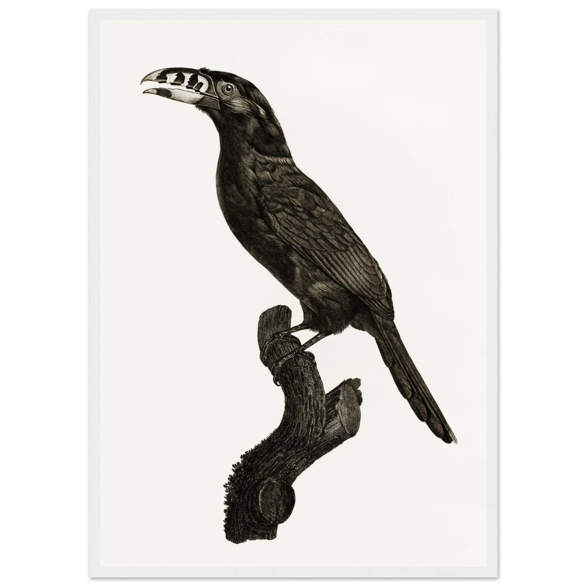 4e8ec76a-6d78-4d04-930f-d37ff5ad518e