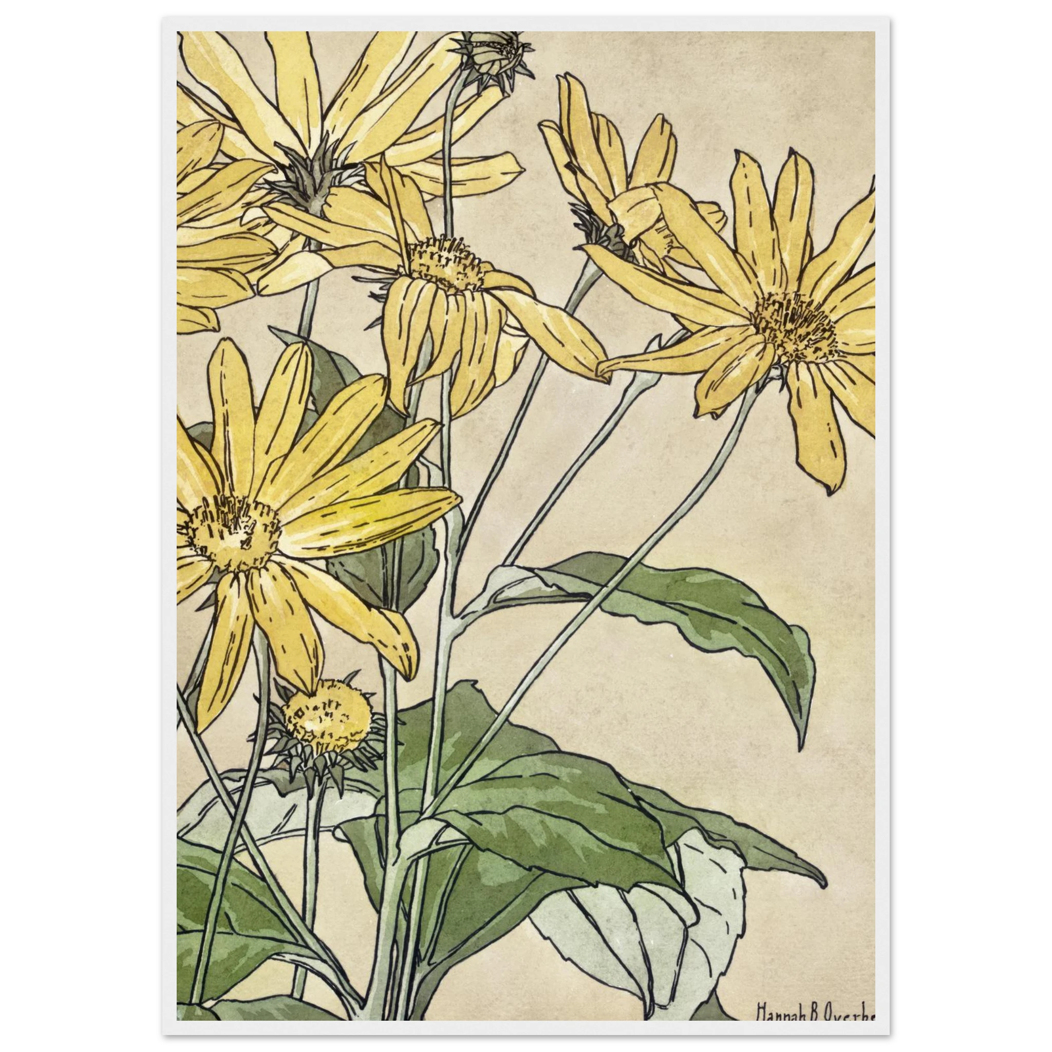 4e94275f-9388-48e9-a232-7b94e7db06fc