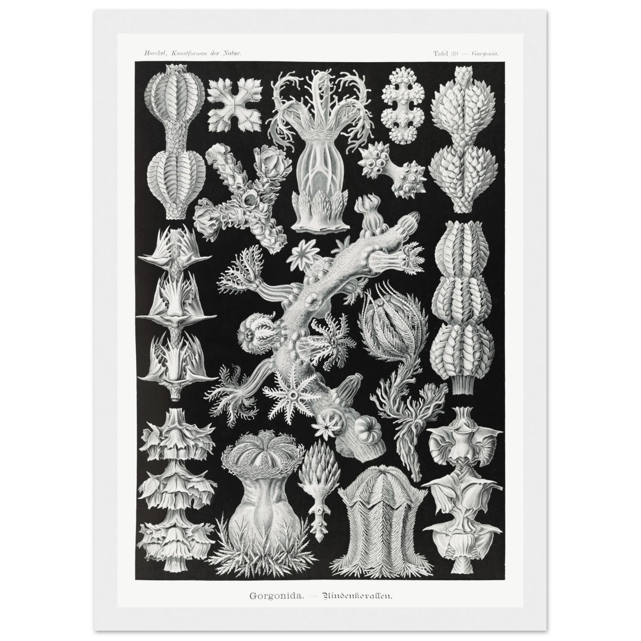 4ed5fbbf-1545-461d-b20c-be132ae8807f