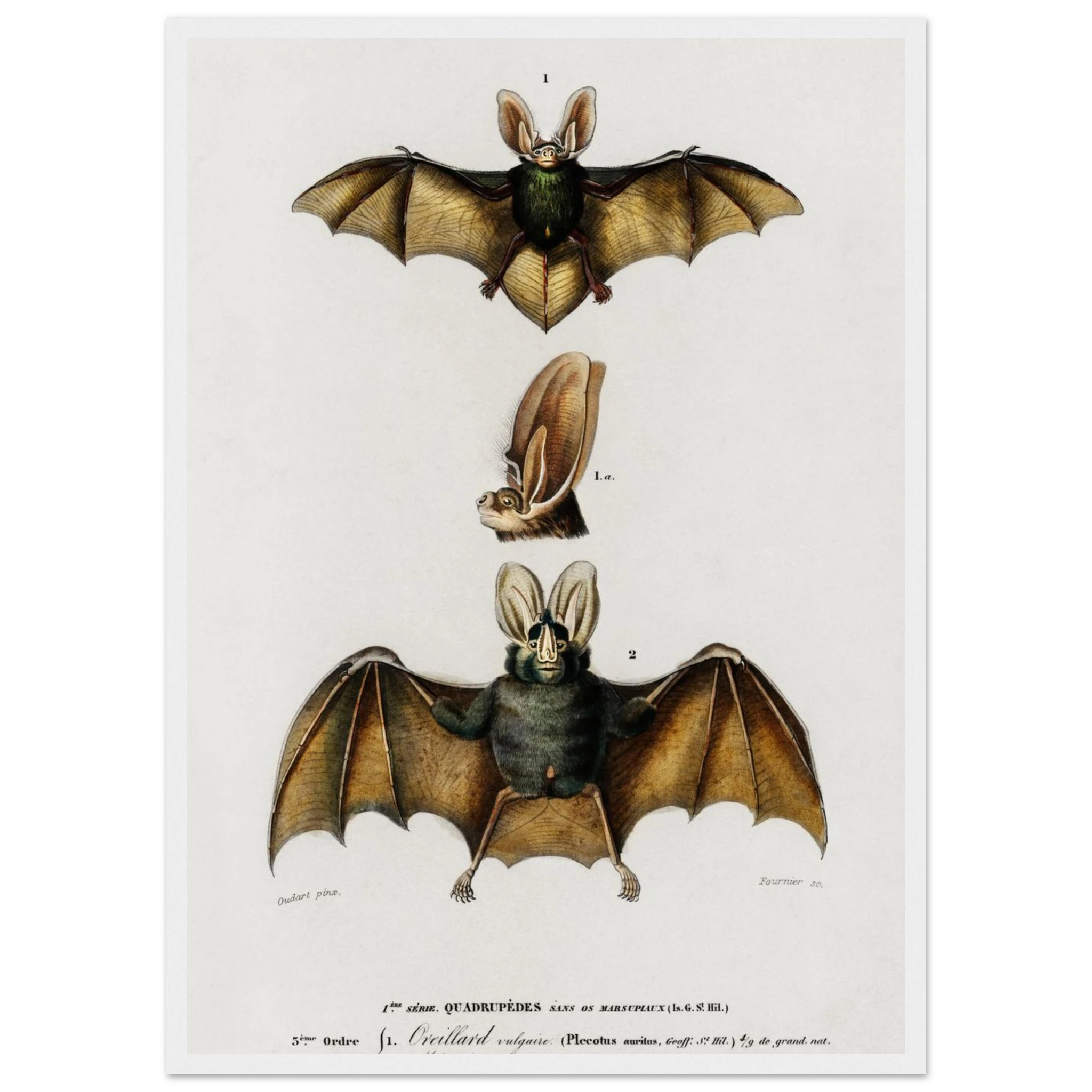 4f55c2fb-d084-4acf-9e4a-0bb81570d13f